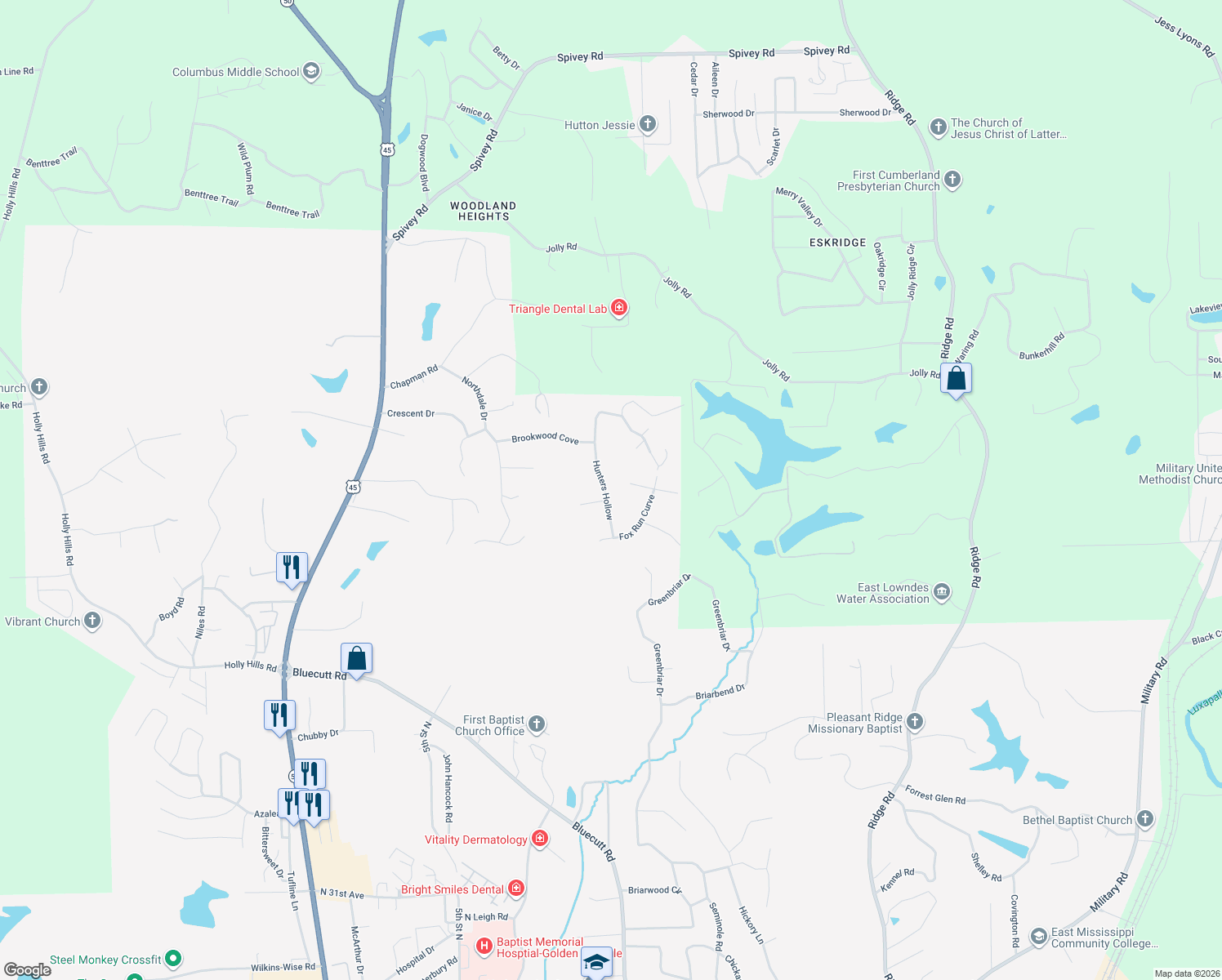 map of restaurants, bars, coffee shops, grocery stores, and more near 67 W Timberlake Cove in Columbus