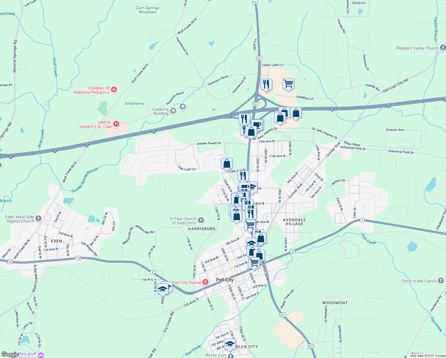 map of restaurants, bars, coffee shops, grocery stores, and more near 923 23rd Street North in Pell City