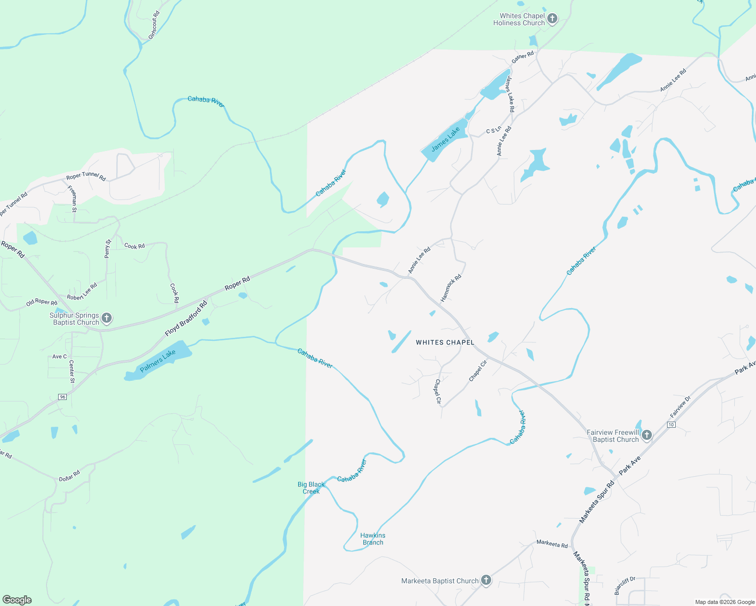 map of restaurants, bars, coffee shops, grocery stores, and more near 199 Newton Drive in Trussville