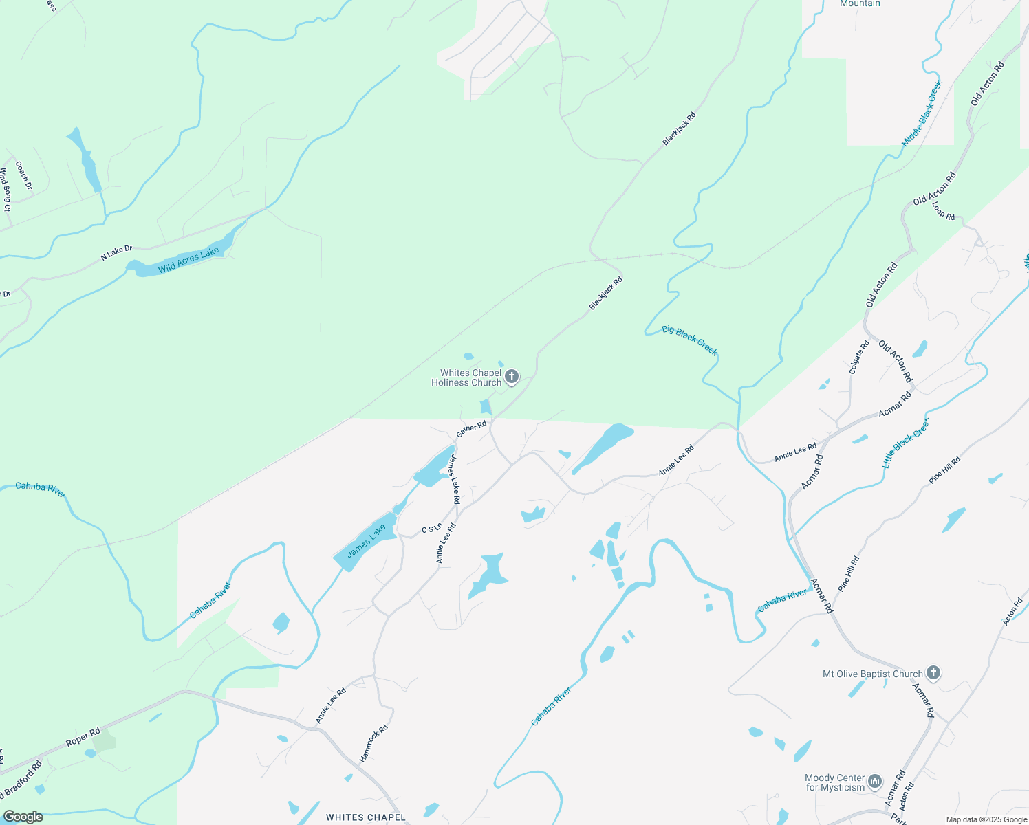 map of restaurants, bars, coffee shops, grocery stores, and more near 4145 Blackjack Road in Trussville