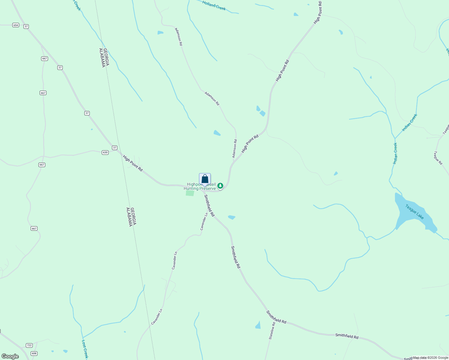 map of restaurants, bars, coffee shops, grocery stores, and more near 1738 High Point Road in Bowdon