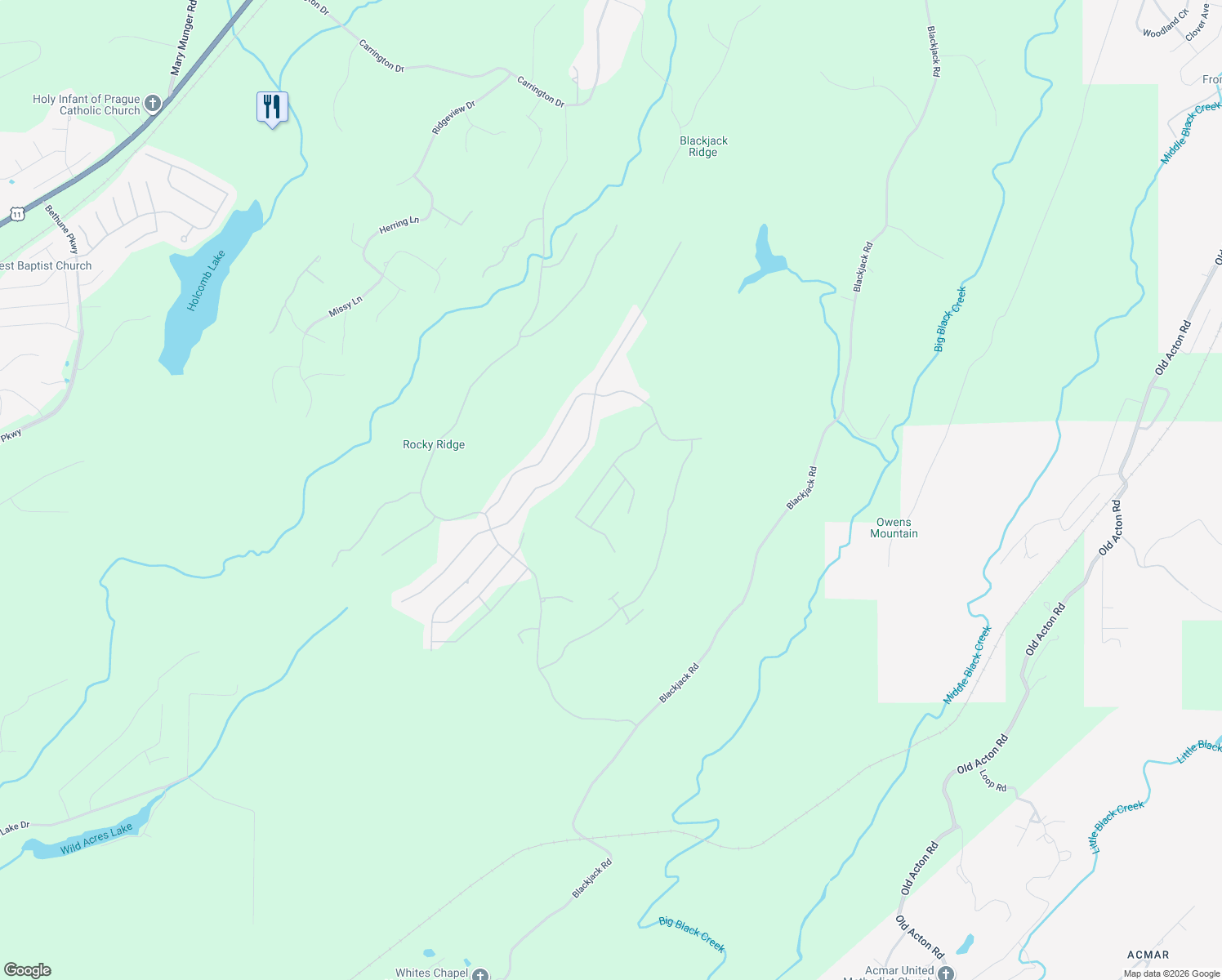 map of restaurants, bars, coffee shops, grocery stores, and more near 2050 Overlook Place in Trussville
