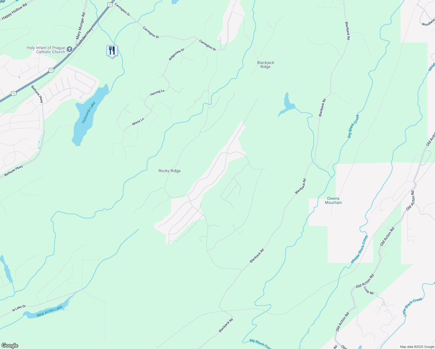 map of restaurants, bars, coffee shops, grocery stores, and more near 8564 Highlands Trace in Trussville