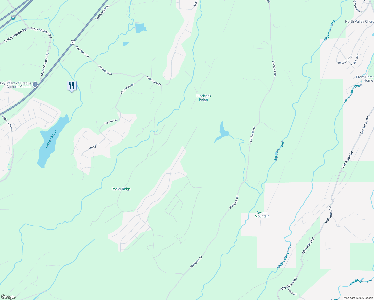 map of restaurants, bars, coffee shops, grocery stores, and more near 2156 Lakeview Trace in Trussville