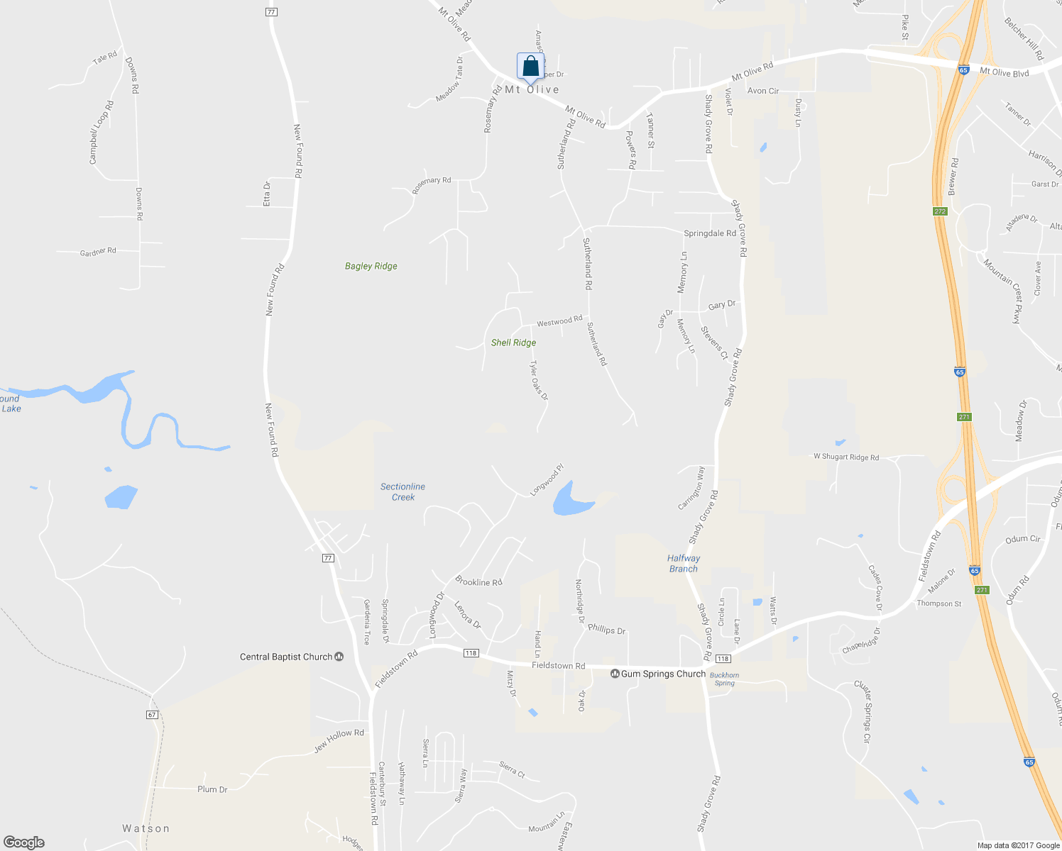 map of restaurants, bars, coffee shops, grocery stores, and more near 5166 Tyler Oaks Drive in Mount Olive