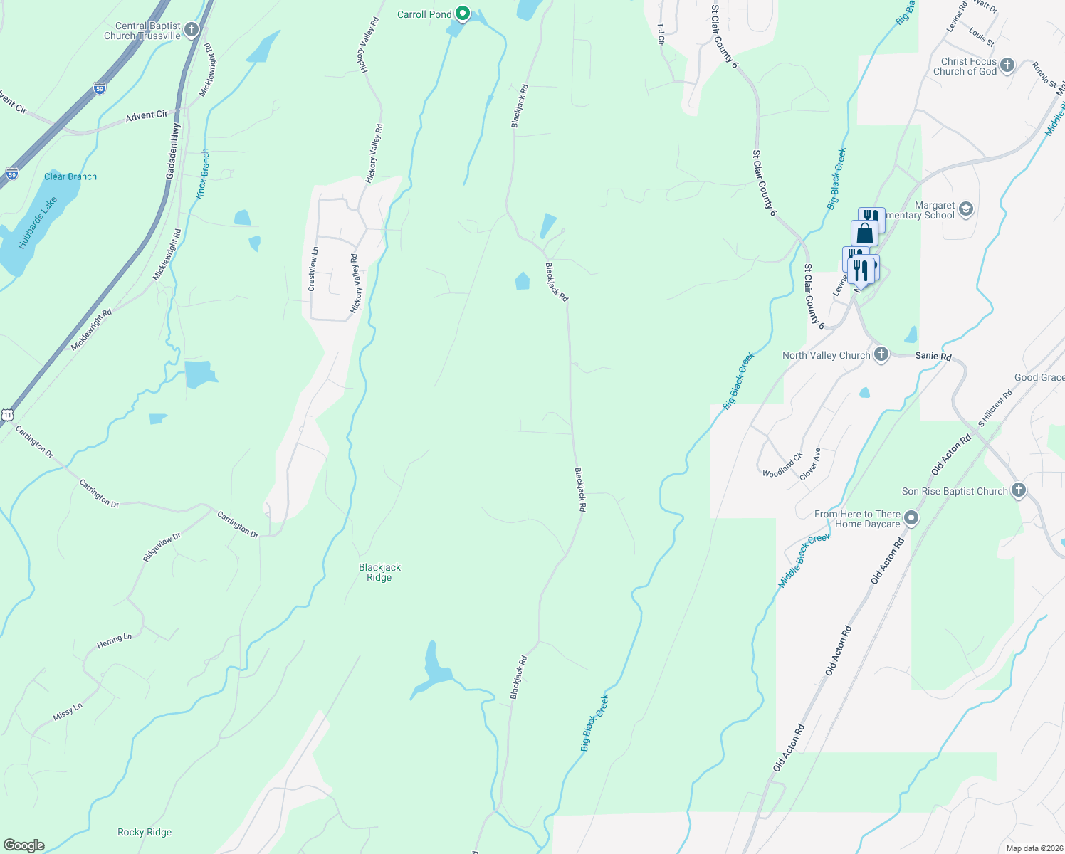 map of restaurants, bars, coffee shops, grocery stores, and more near 90 Olivia Drive in Trussville