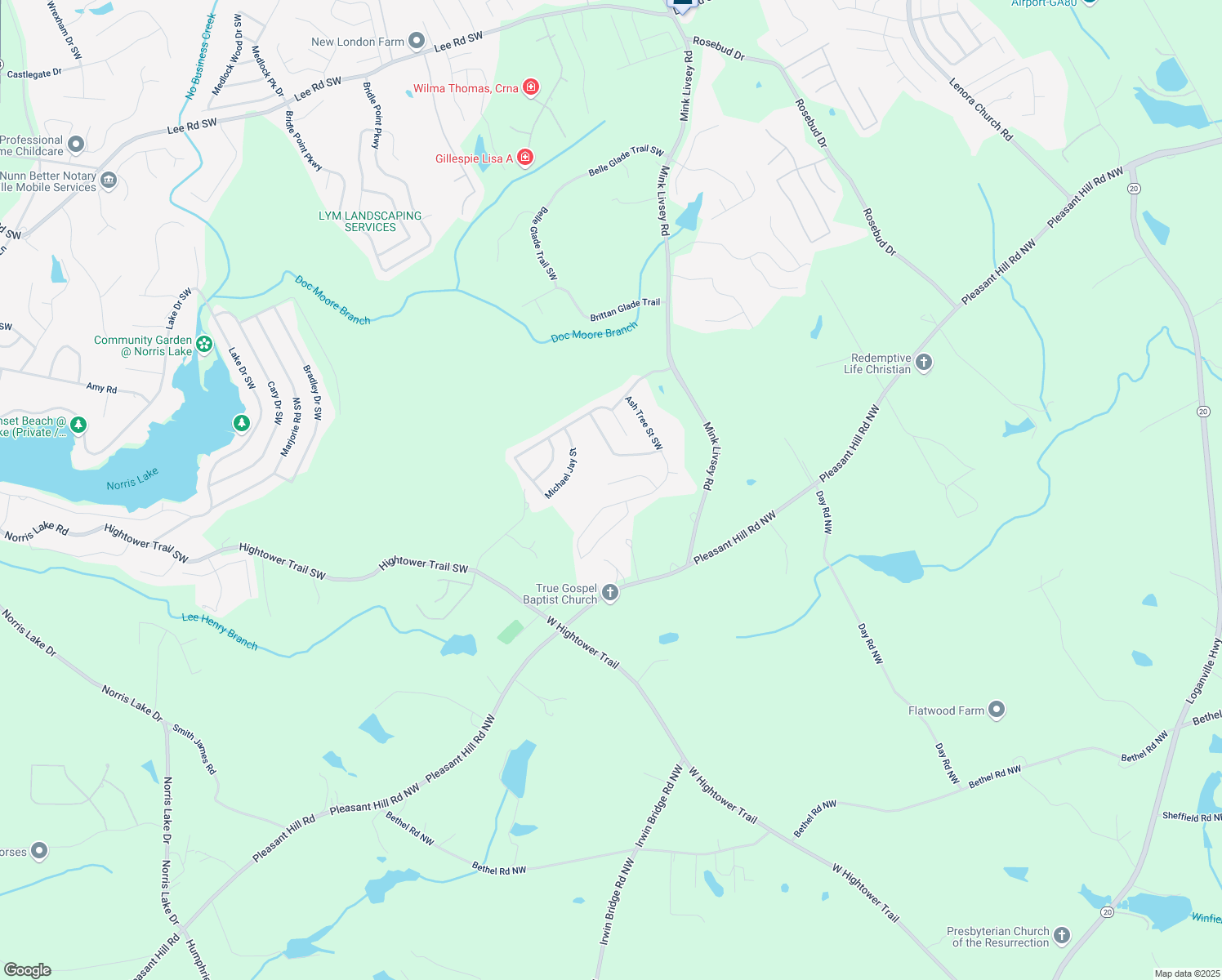 map of restaurants, bars, coffee shops, grocery stores, and more near 4089 Palm Drive Southwest in Snellville