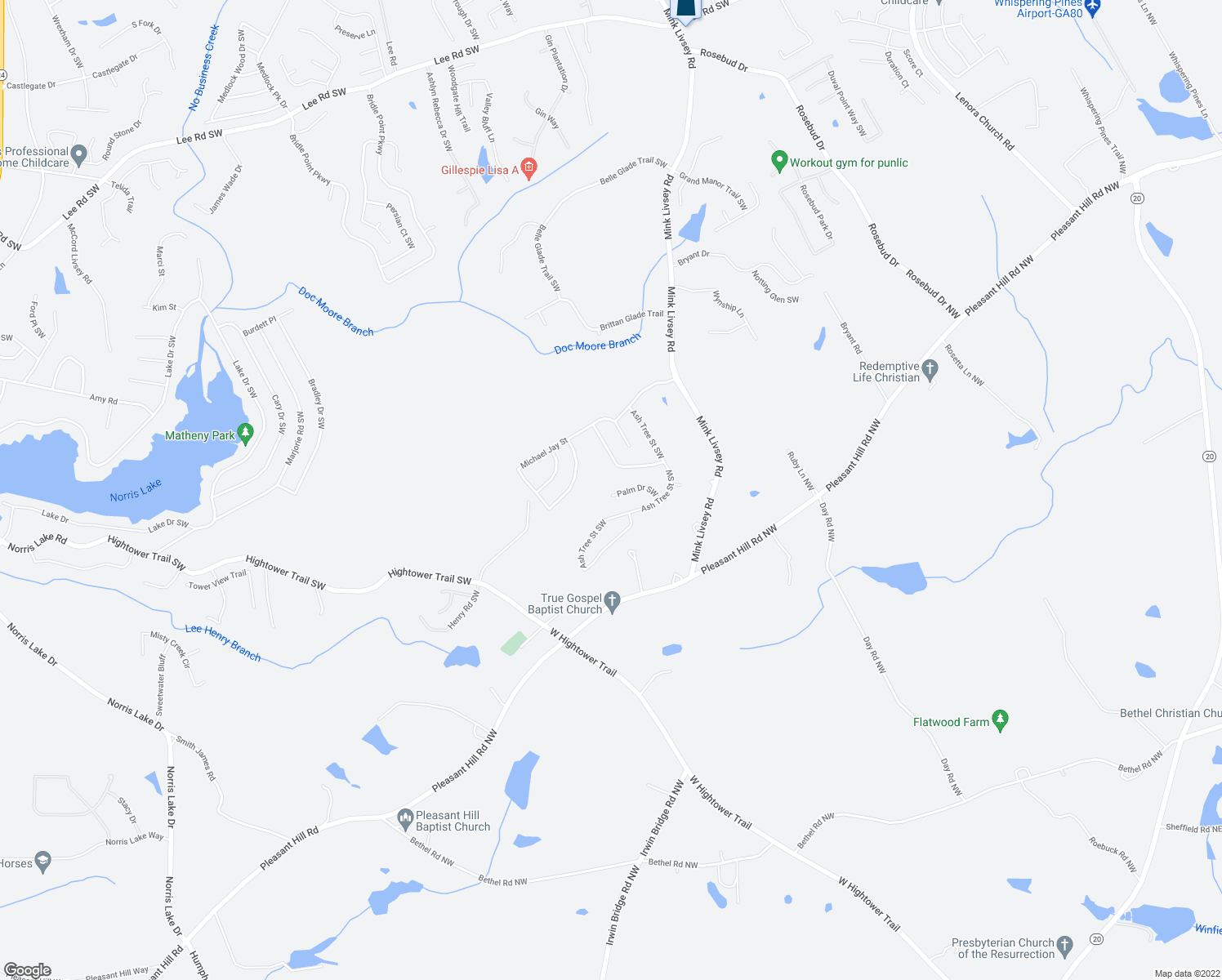 map of restaurants, bars, coffee shops, grocery stores, and more near 4088 Palm Drive Southwest in Snellville