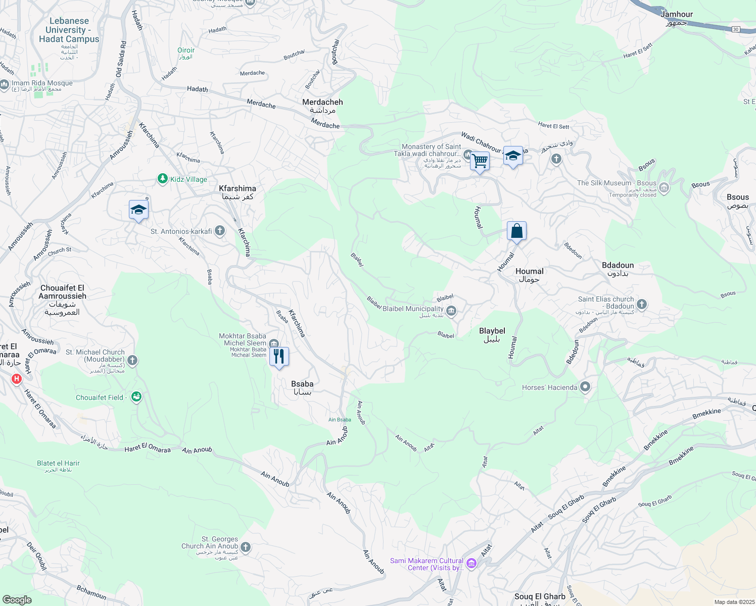 map of restaurants, bars, coffee shops, grocery stores, and more near in Aley