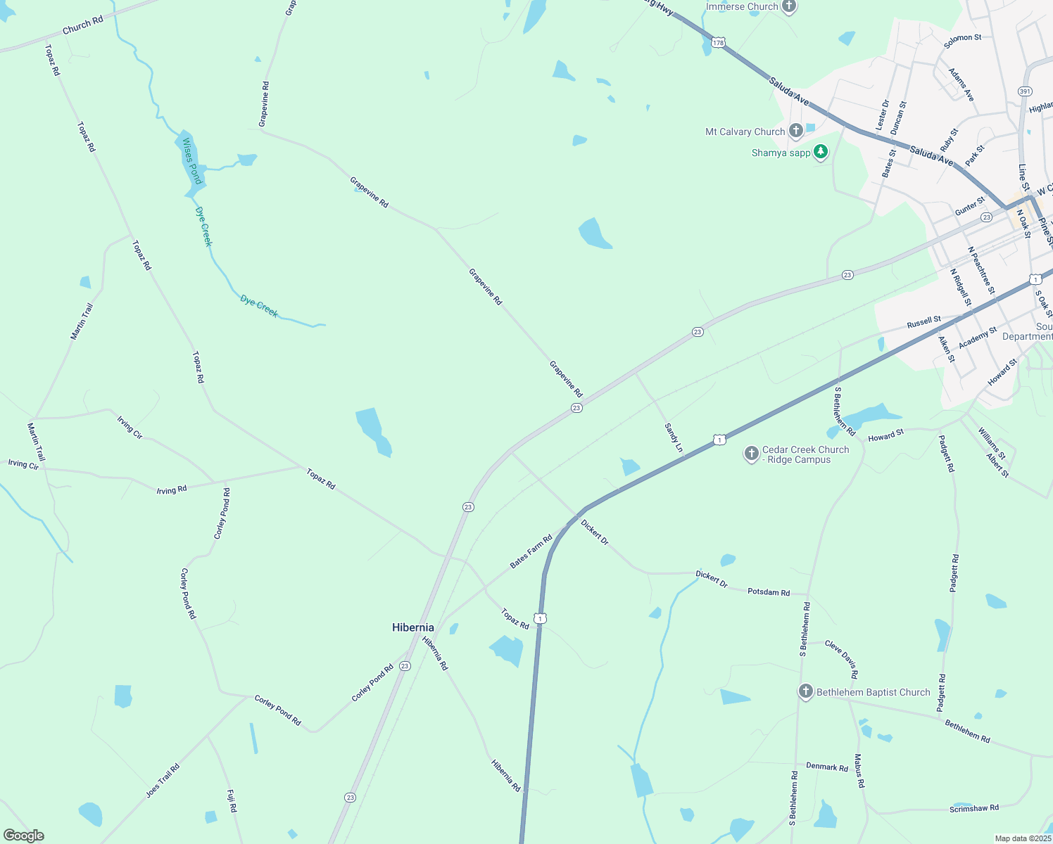 4199 South Carolina 23, BatesburgLeesville SC Walk Score