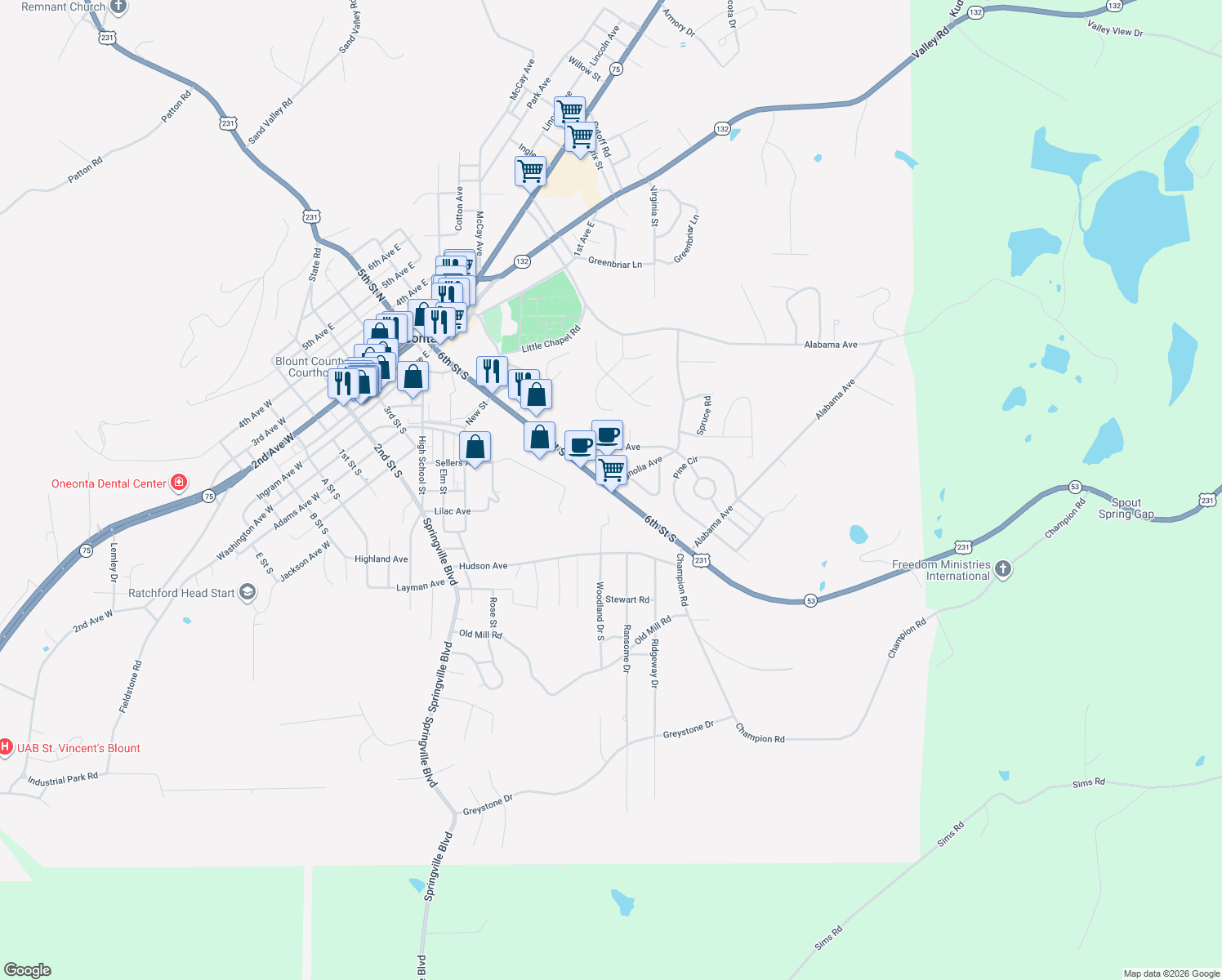 map of restaurants, bars, coffee shops, grocery stores, and more near 415 6th St S in Oneonta