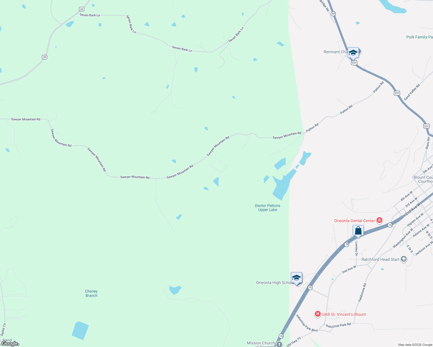 map of restaurants, bars, coffee shops, grocery stores, and more near 989 Sawyer Mountain Road in Oneonta