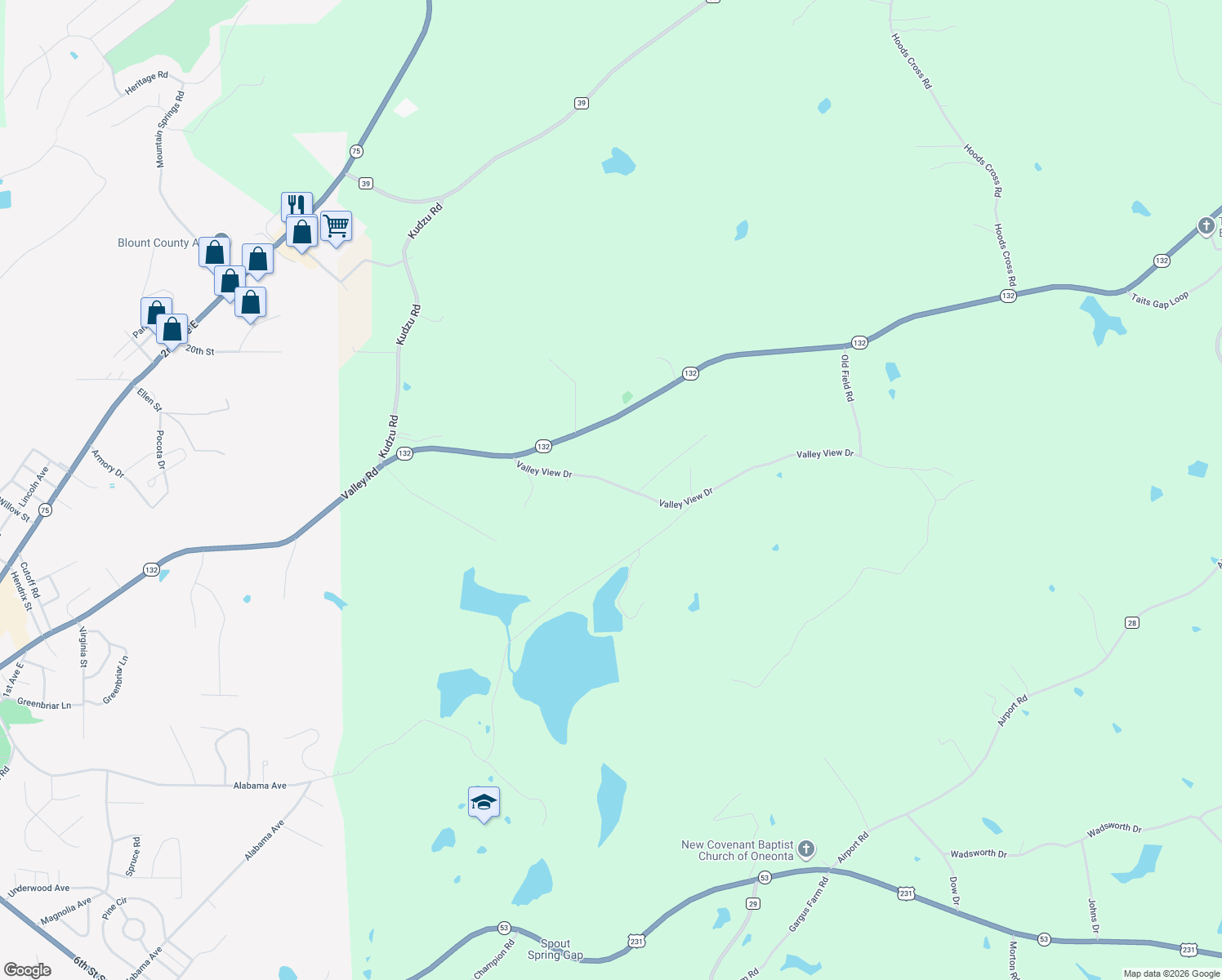 map of restaurants, bars, coffee shops, grocery stores, and more near 261 Valley View Drive in Oneonta