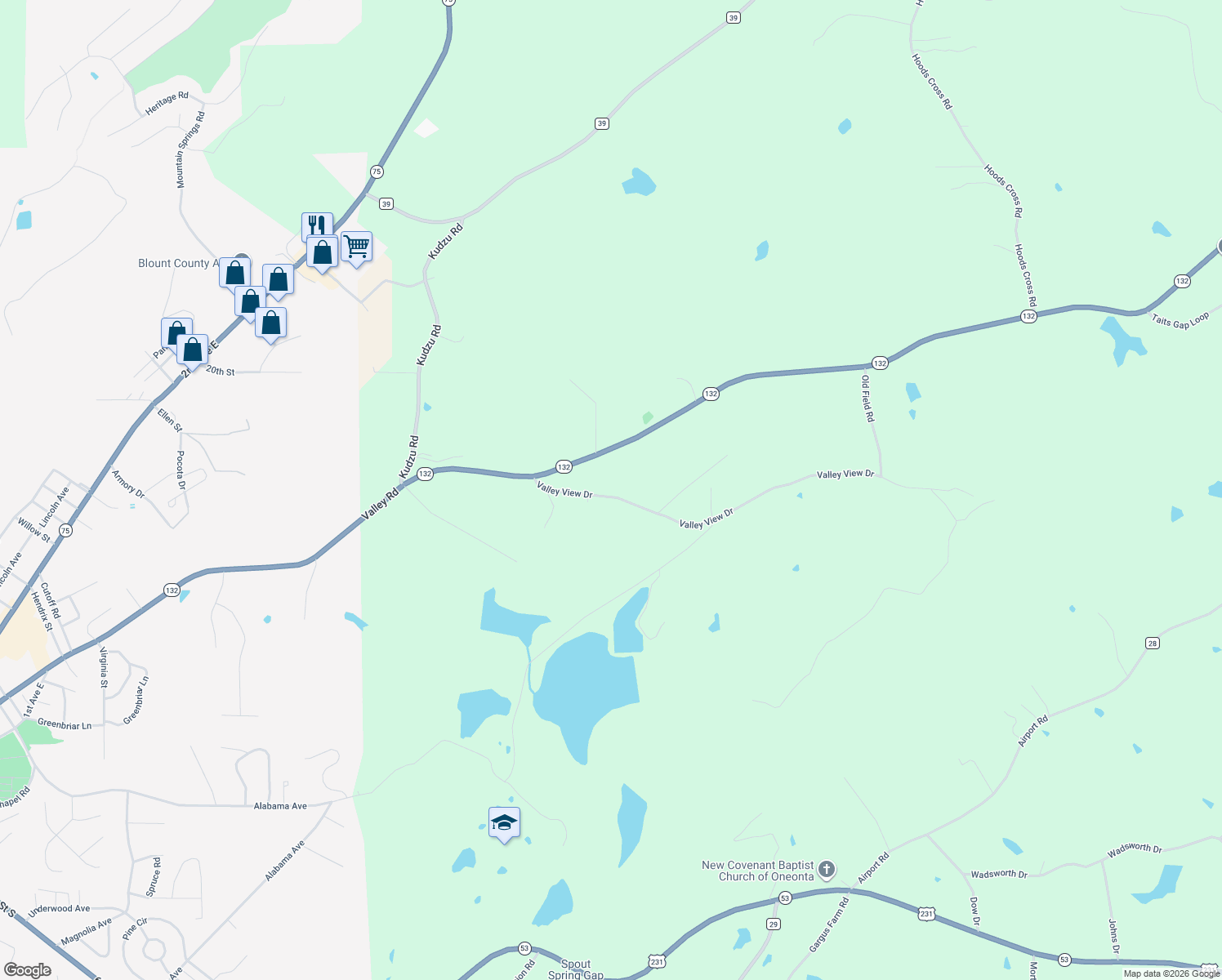map of restaurants, bars, coffee shops, grocery stores, and more near 261 Valley View Drive in Oneonta
