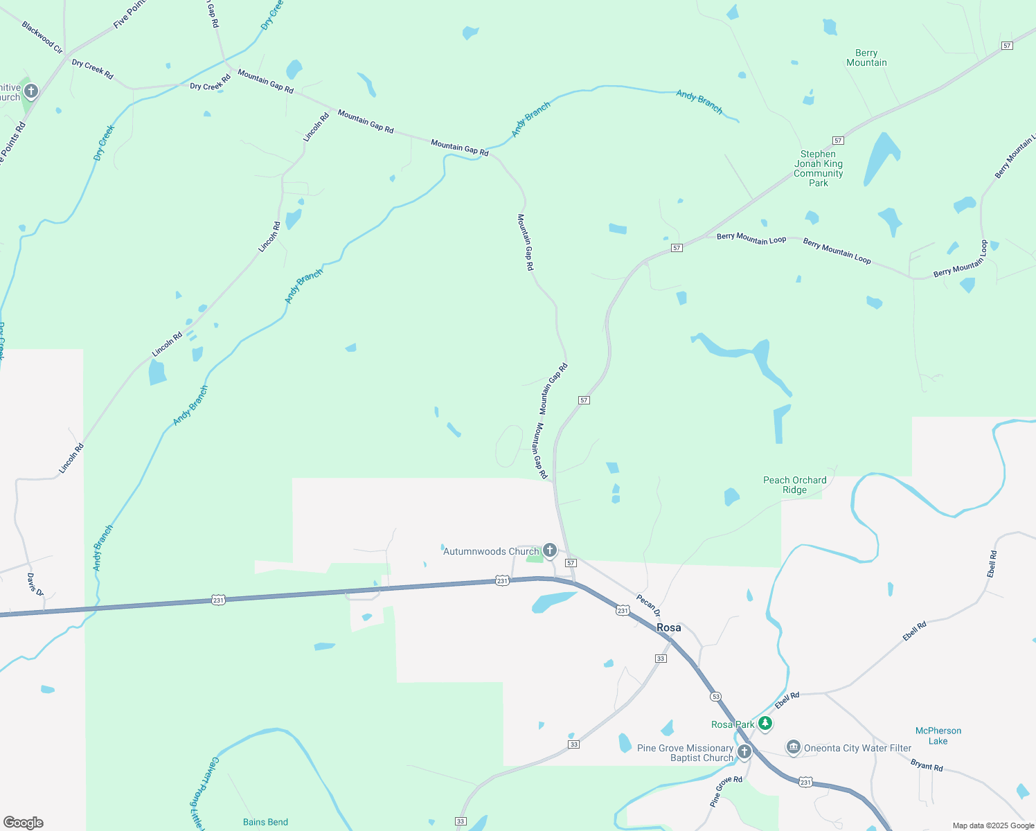 map of restaurants, bars, coffee shops, grocery stores, and more near 335 Maple Valley Circle in Blountsville