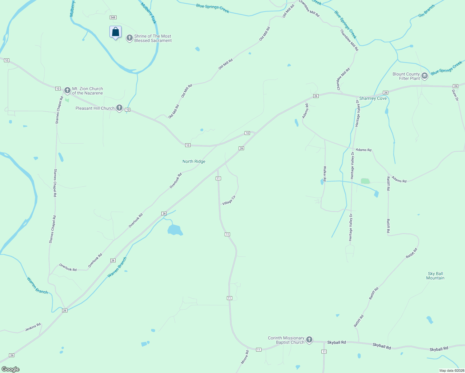 map of restaurants, bars, coffee shops, grocery stores, and more near 247 Village Circle in Blountsville