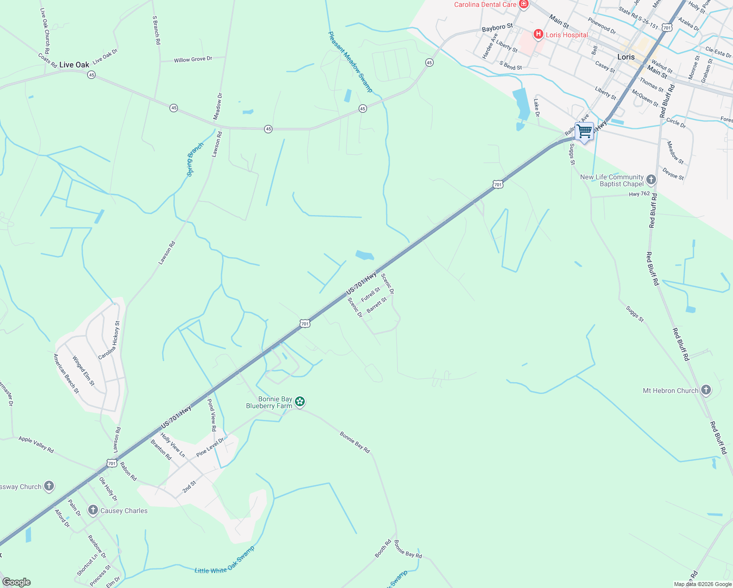 map of restaurants, bars, coffee shops, grocery stores, and more near 913 Futrell Street in Loris