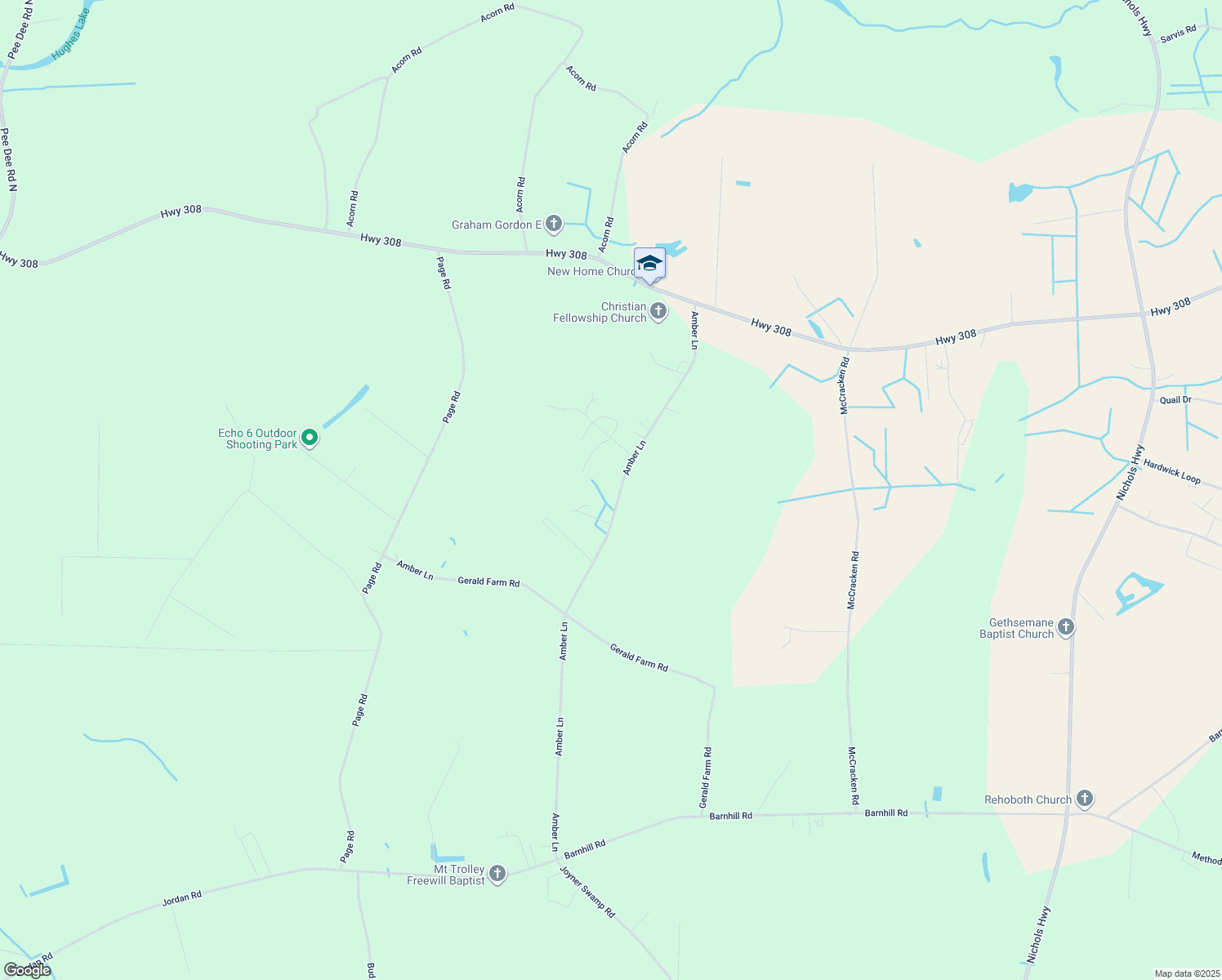 5200 Amber Lane, Galivants Ferry SC Walk Score