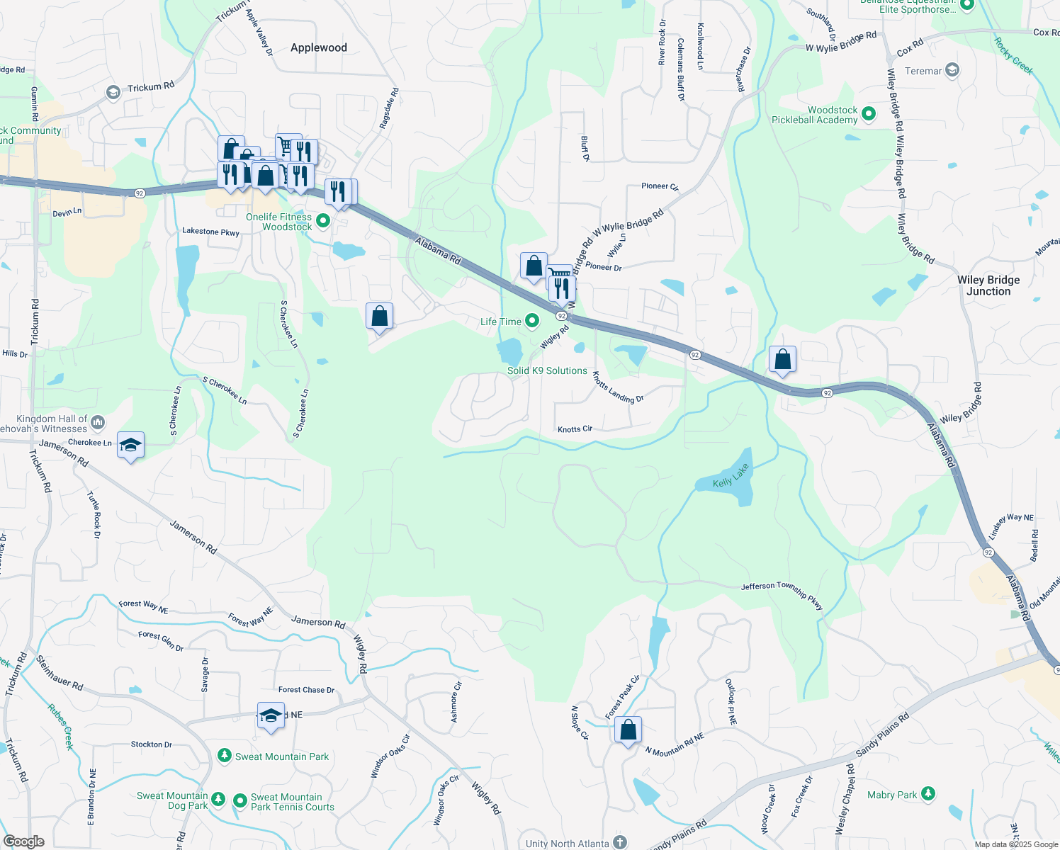 map of restaurants, bars, coffee shops, grocery stores, and more near 229 Brookview Pl in Woodstock