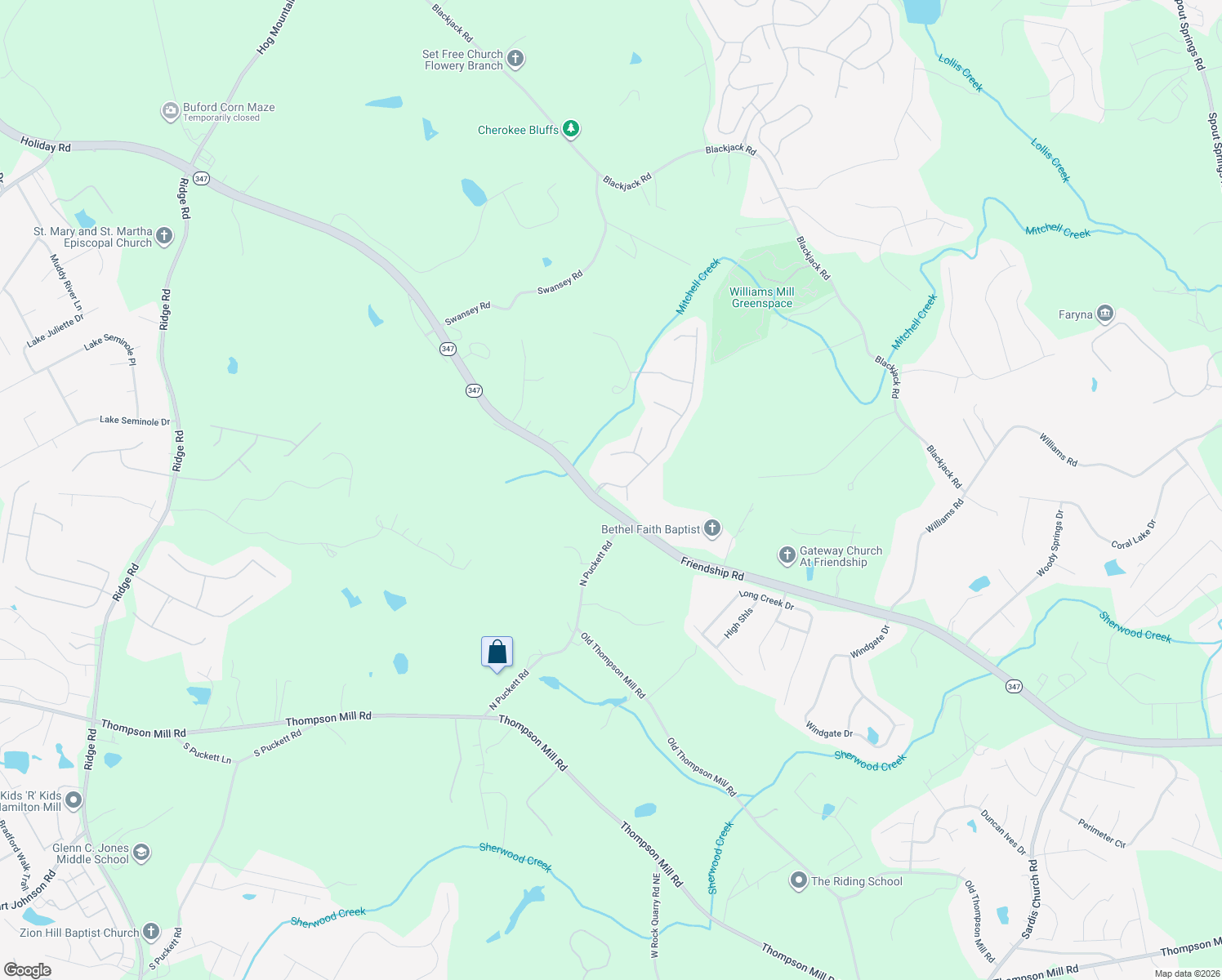 map of restaurants, bars, coffee shops, grocery stores, and more near 3410 Friendship Farm Dr in Buford