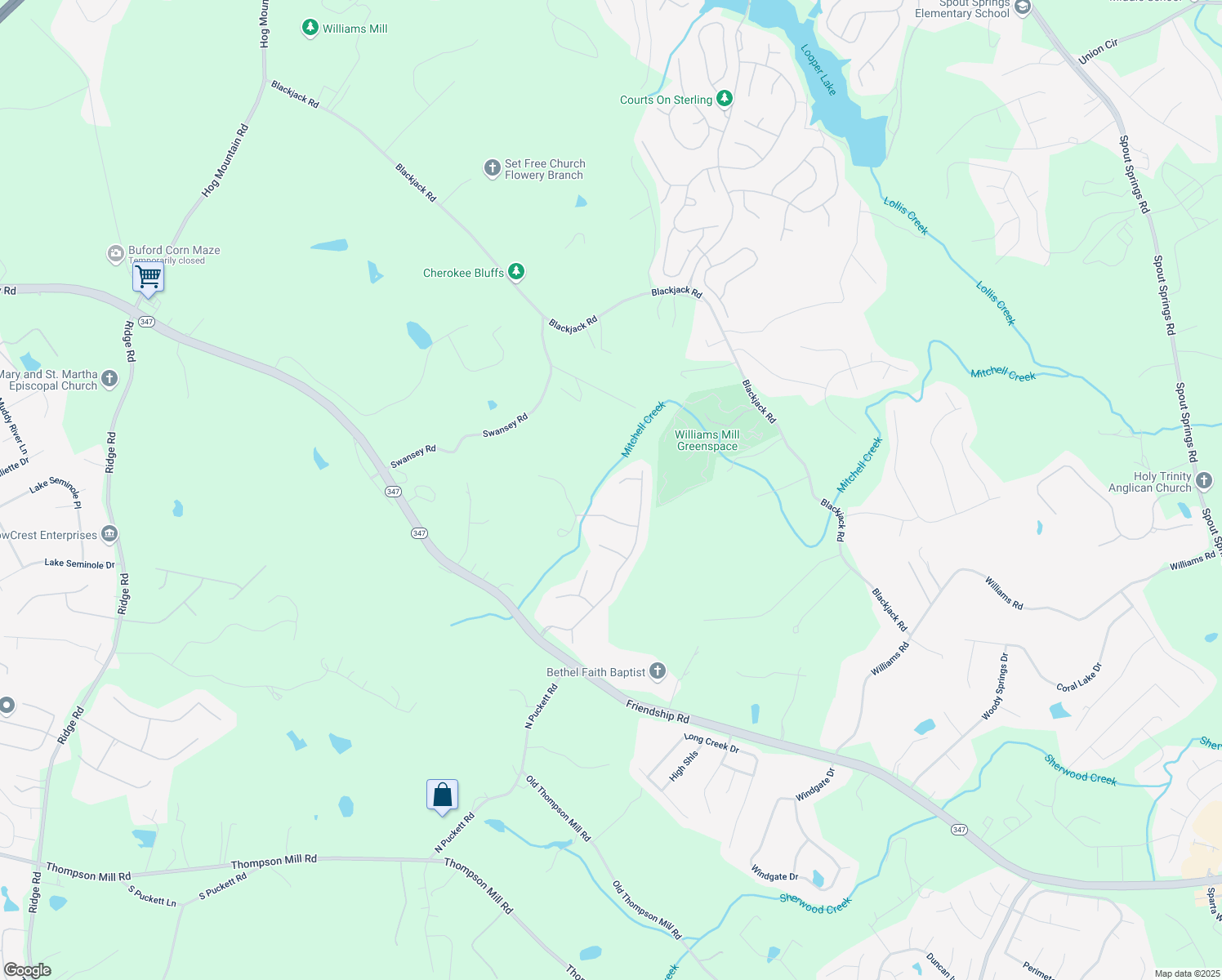 map of restaurants, bars, coffee shops, grocery stores, and more near 3652 Buttercup Court in Buford