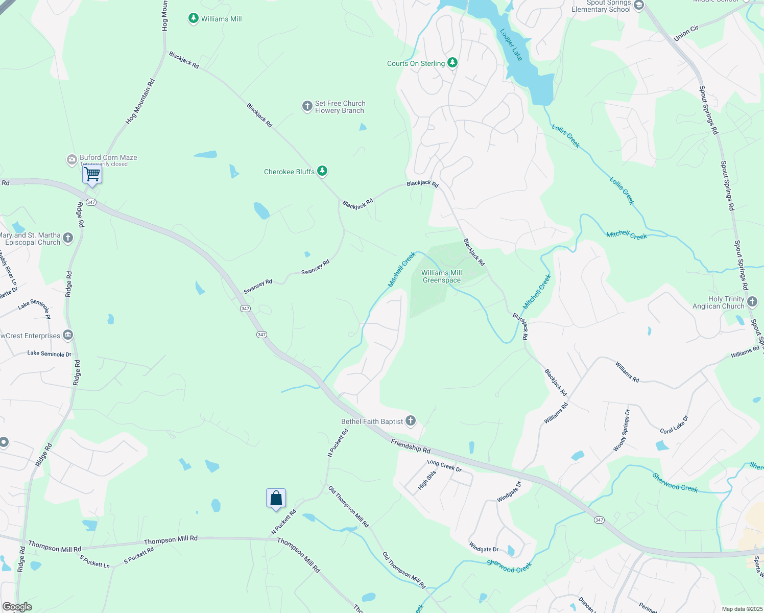 map of restaurants, bars, coffee shops, grocery stores, and more near 3652 Buttercup Court in Buford