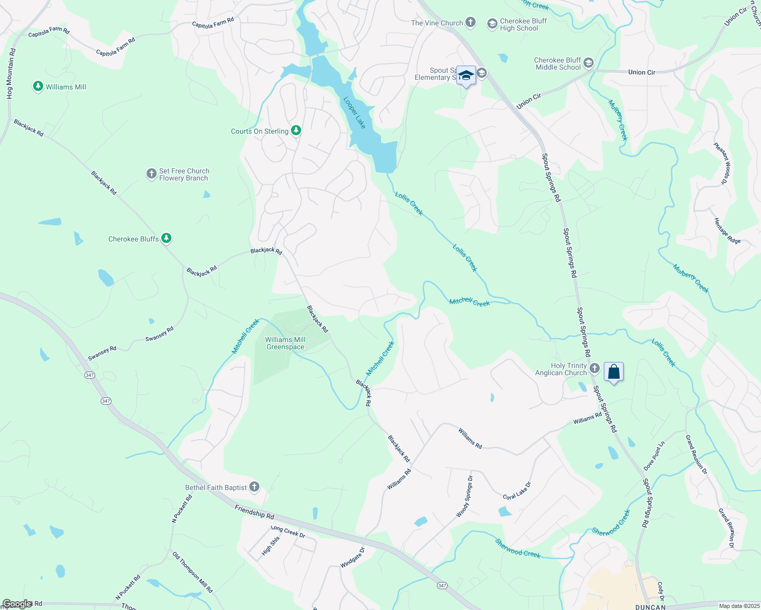 map of restaurants, bars, coffee shops, grocery stores, and more near 6255 Buttonwood Court in Flowery Branch