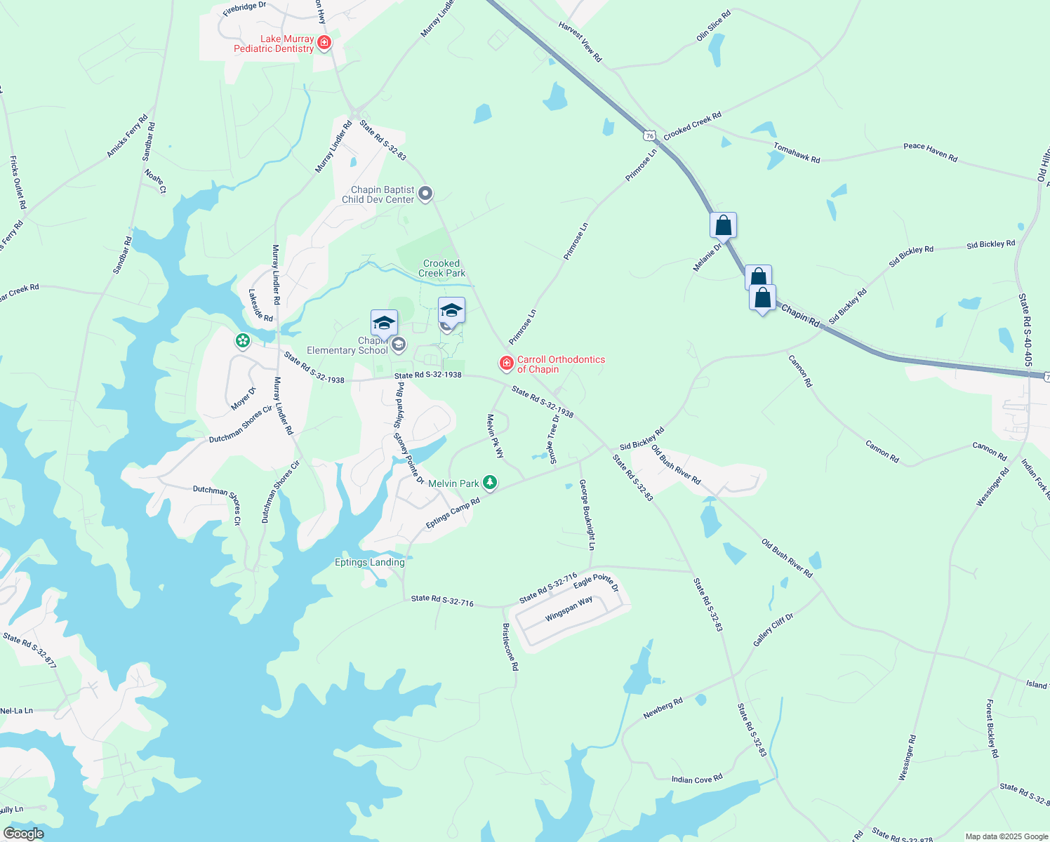 1420 Chapin Road, Chapin SC Walk Score