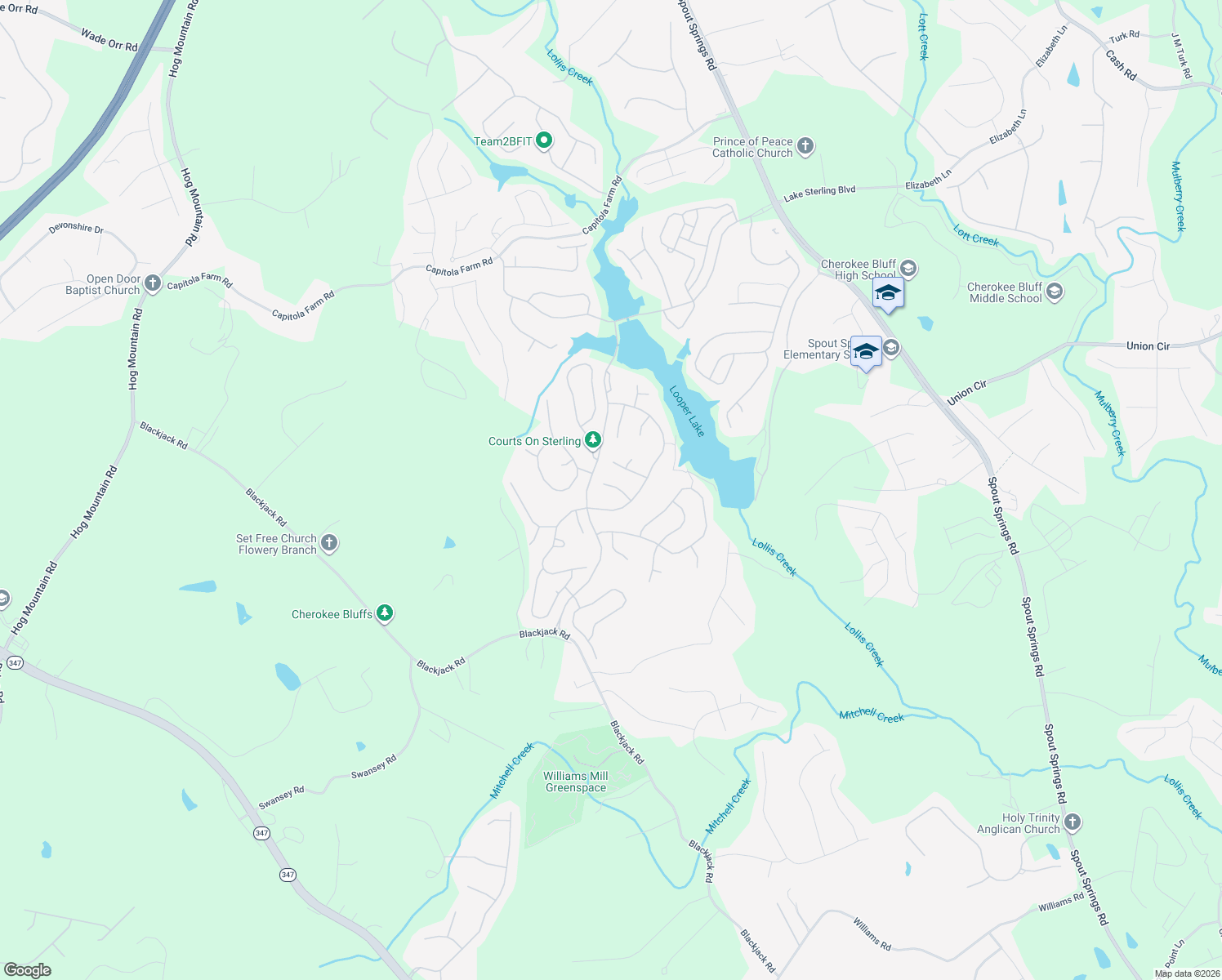 map of restaurants, bars, coffee shops, grocery stores, and more near 7413 Vintage Drive in Flowery Branch