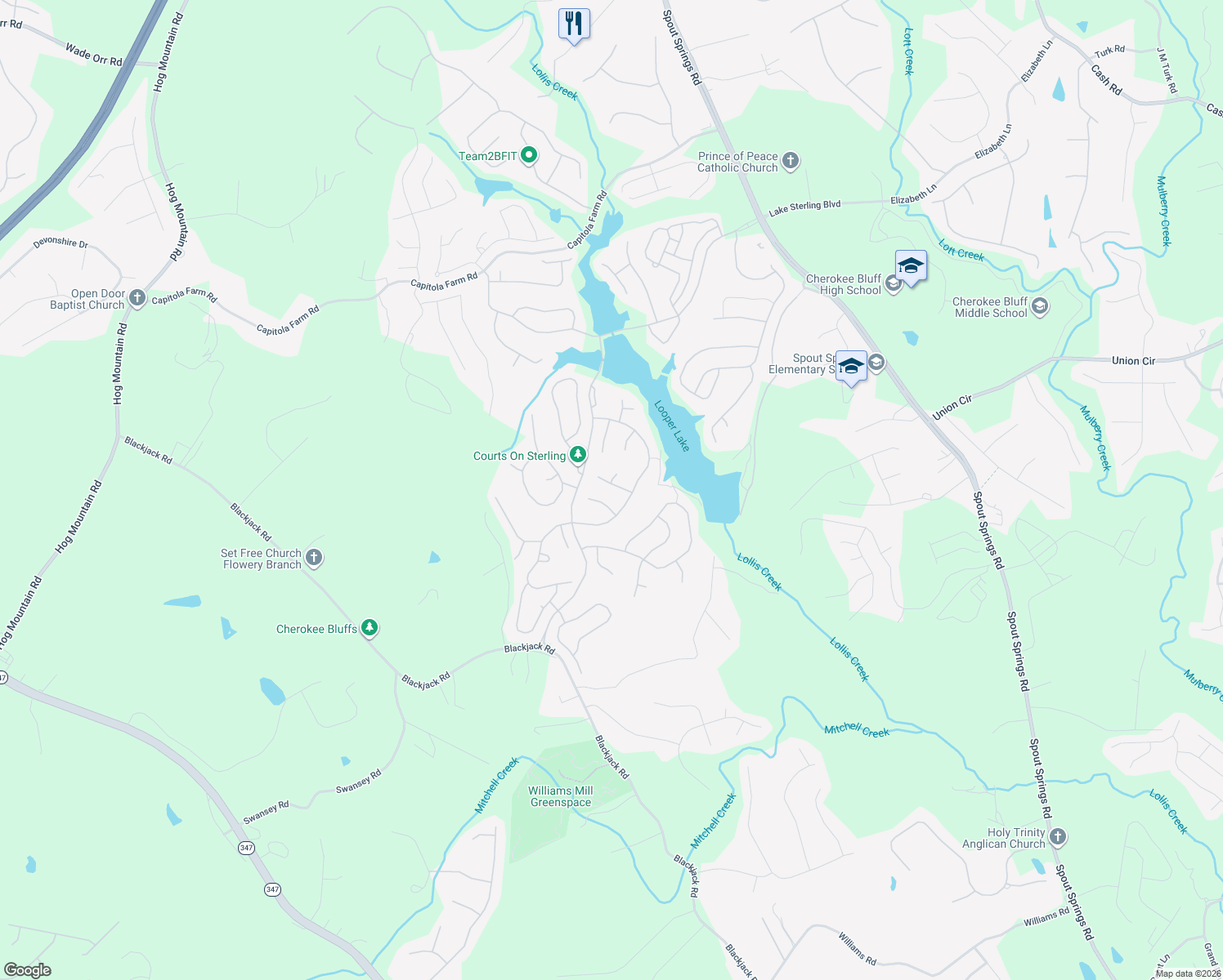 map of restaurants, bars, coffee shops, grocery stores, and more near 7413 Vintage Drive in Flowery Branch
