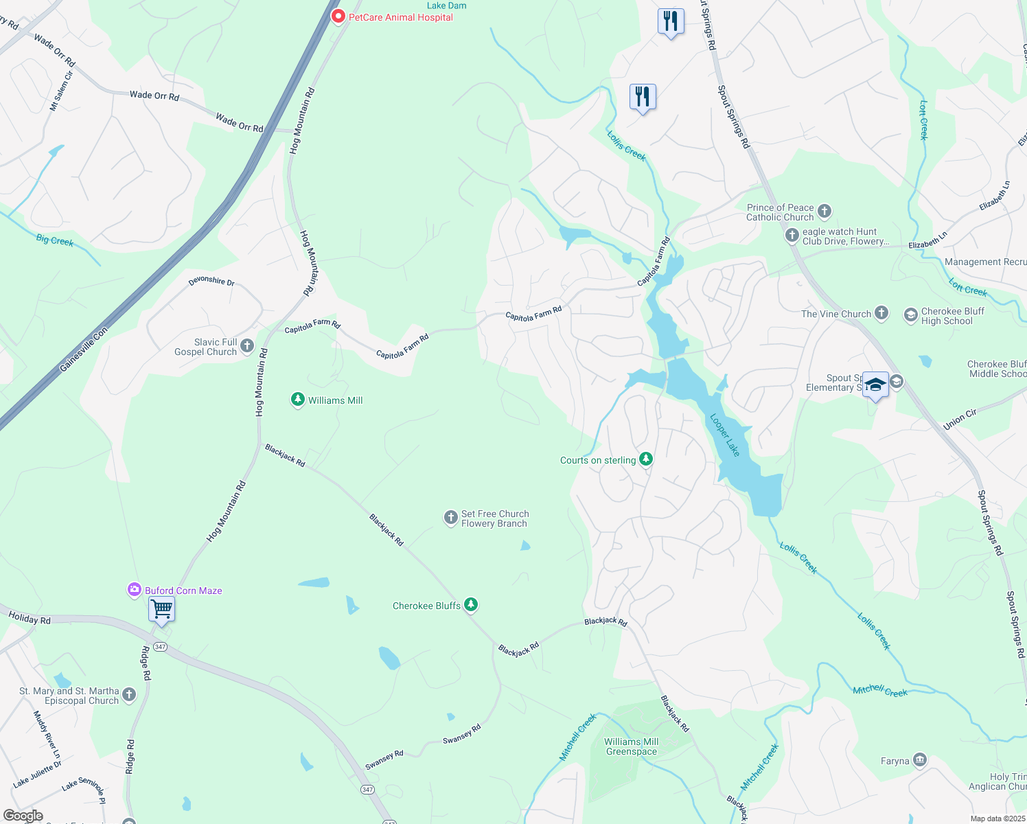 map of restaurants, bars, coffee shops, grocery stores, and more near 6675 Capitola Farm Road in Flowery Branch