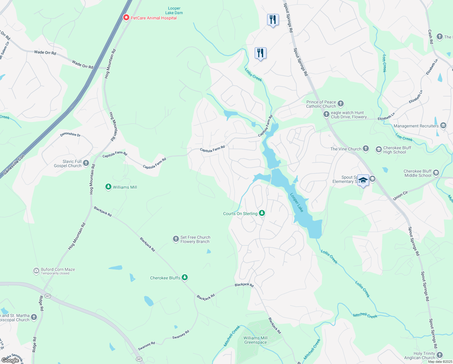 map of restaurants, bars, coffee shops, grocery stores, and more near 6968 River Rock Drive in Flowery Branch