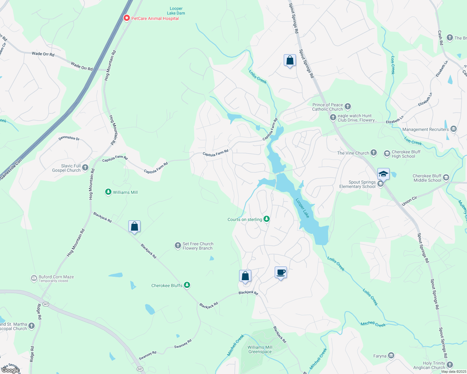 map of restaurants, bars, coffee shops, grocery stores, and more near 6675 Capitola Farm Road in Flowery Branch
