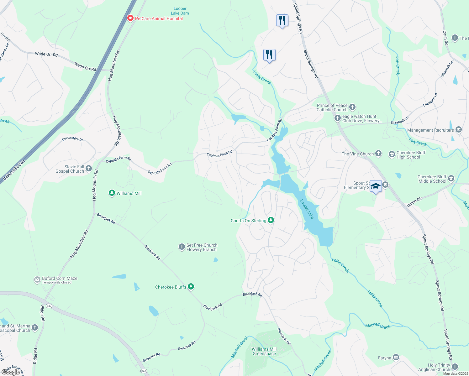 map of restaurants, bars, coffee shops, grocery stores, and more near 6968 River Rock Drive in Flowery Branch