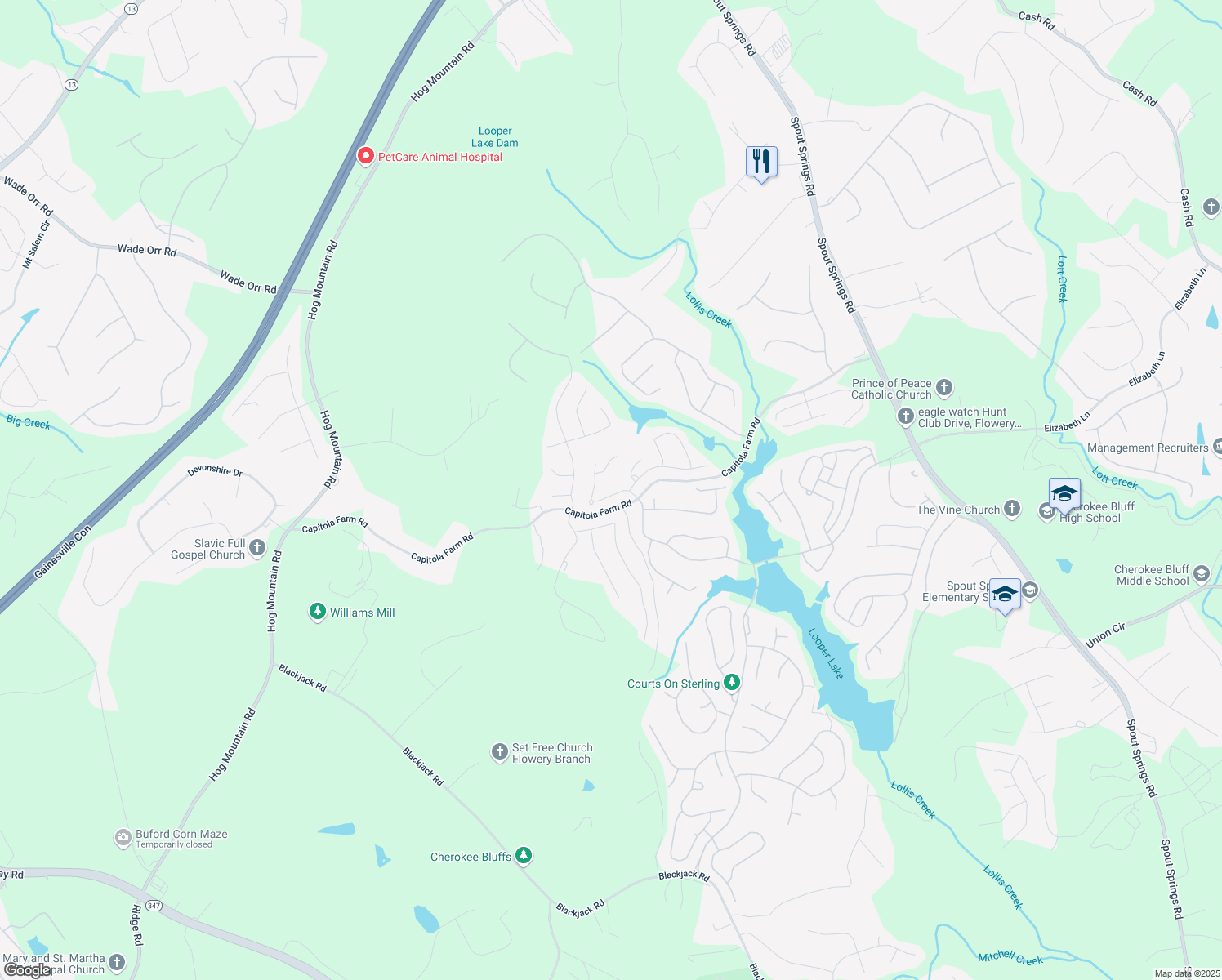 map of restaurants, bars, coffee shops, grocery stores, and more near 6628 Rivergreen Road in Flowery Branch