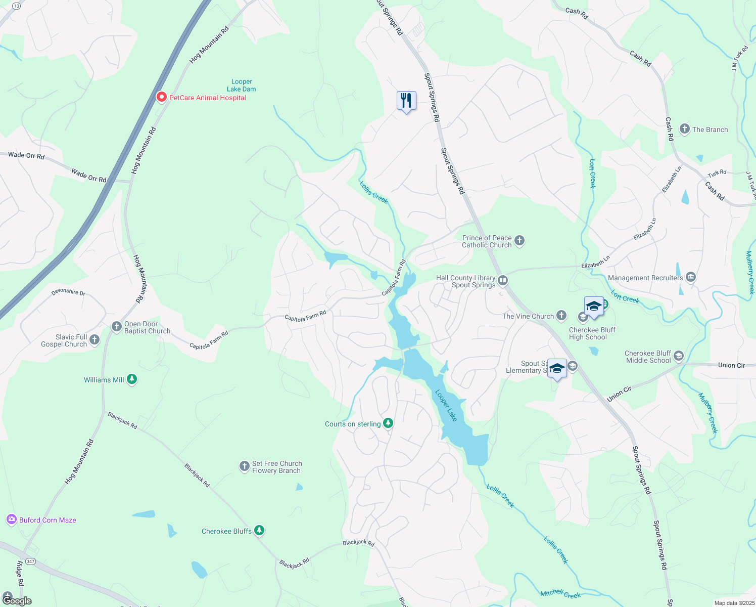 map of restaurants, bars, coffee shops, grocery stores, and more near 7599 Breezy Lake Lane in Flowery Branch