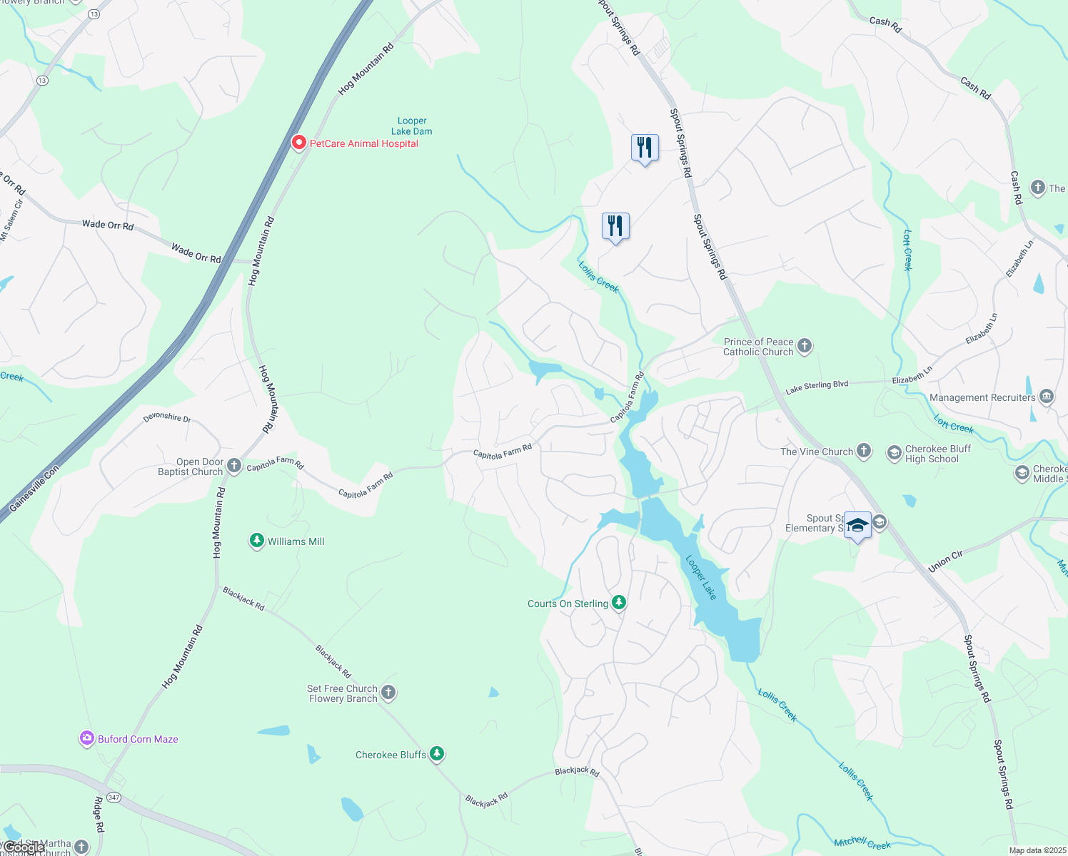 map of restaurants, bars, coffee shops, grocery stores, and more near 6722 Birch Bark Way in Flowery Branch