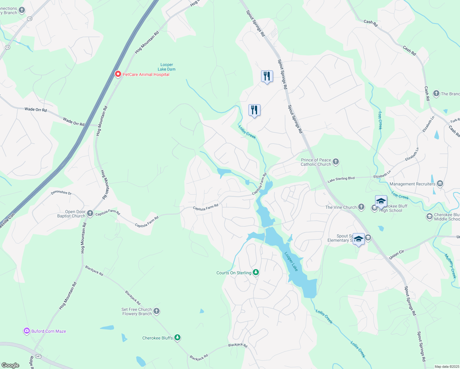 map of restaurants, bars, coffee shops, grocery stores, and more near 6720 Blooming Iris Court in Flowery Branch