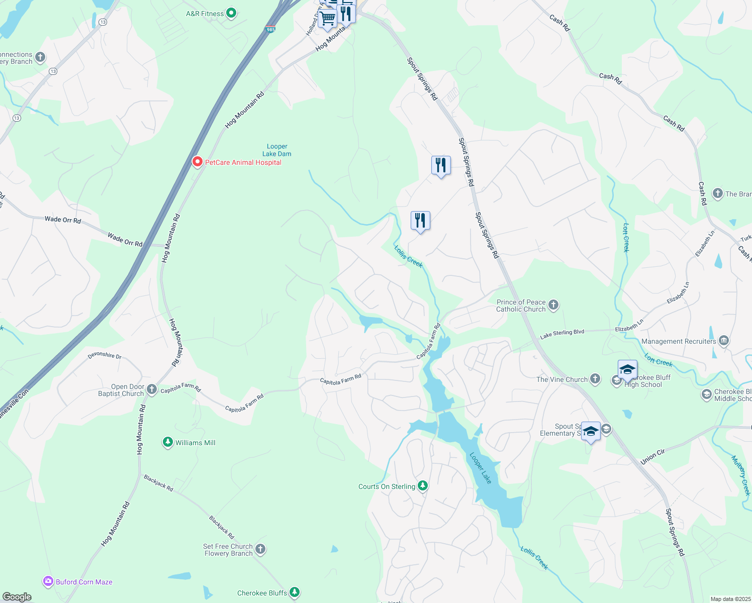 map of restaurants, bars, coffee shops, grocery stores, and more near 6714 Bonfire Drive in Flowery Branch