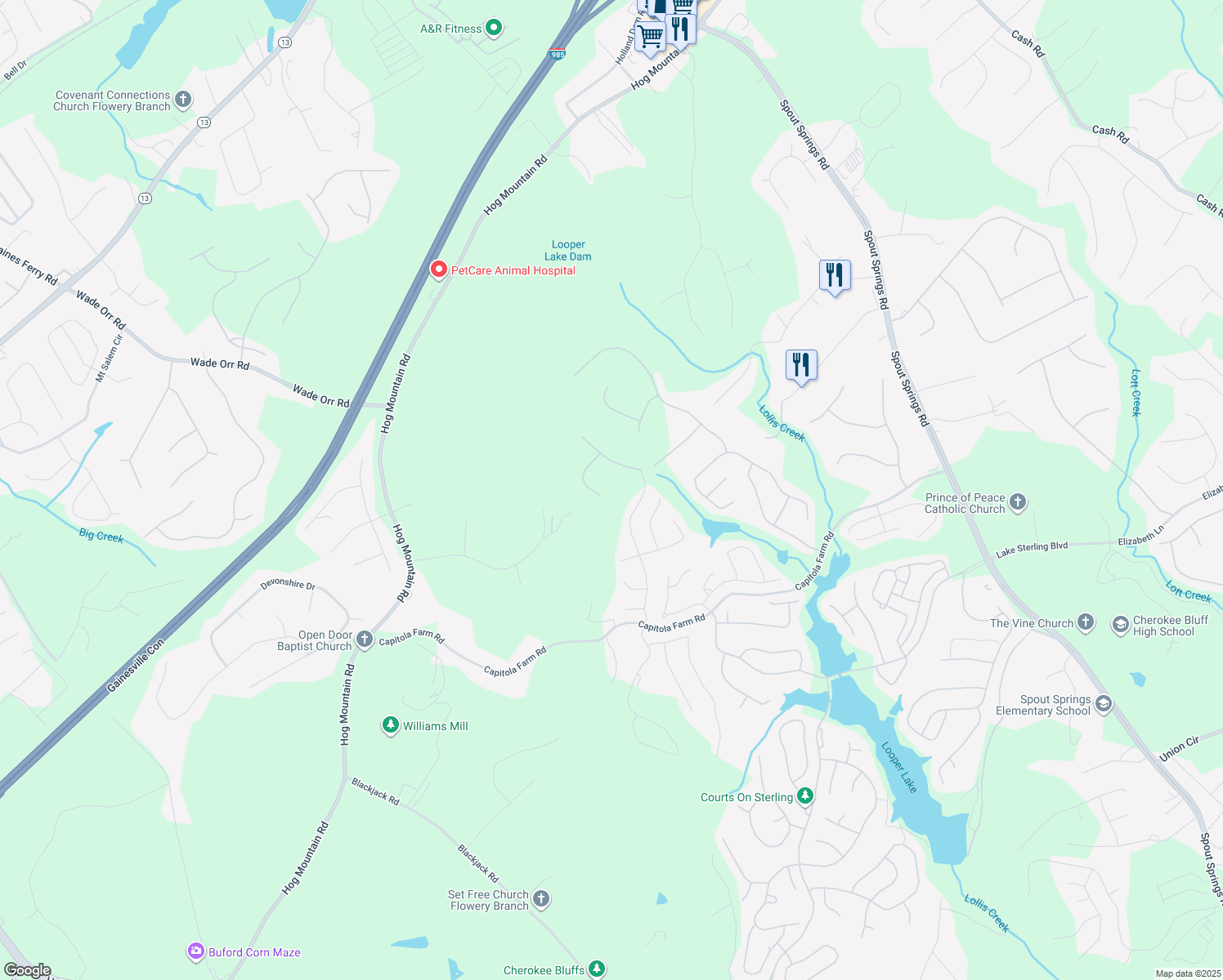 map of restaurants, bars, coffee shops, grocery stores, and more near 6819 Blackbird Court in Flowery Branch