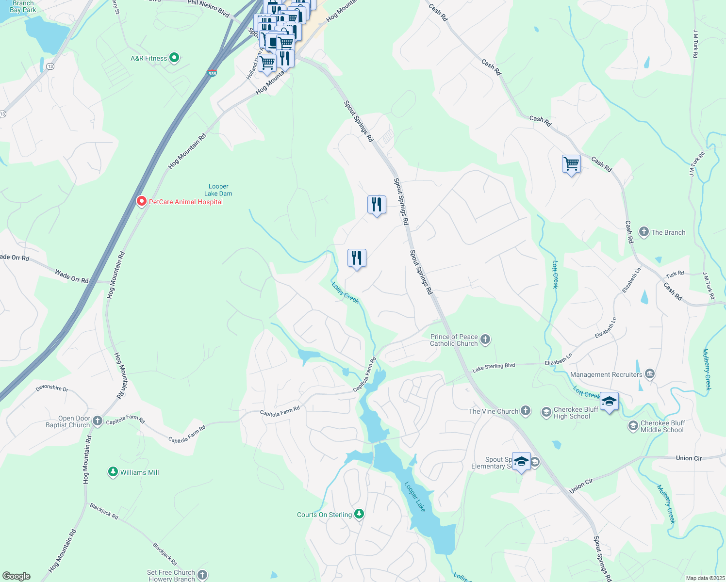 6748 Carriage Walk Lane, Flowery Branch GA Walk Score