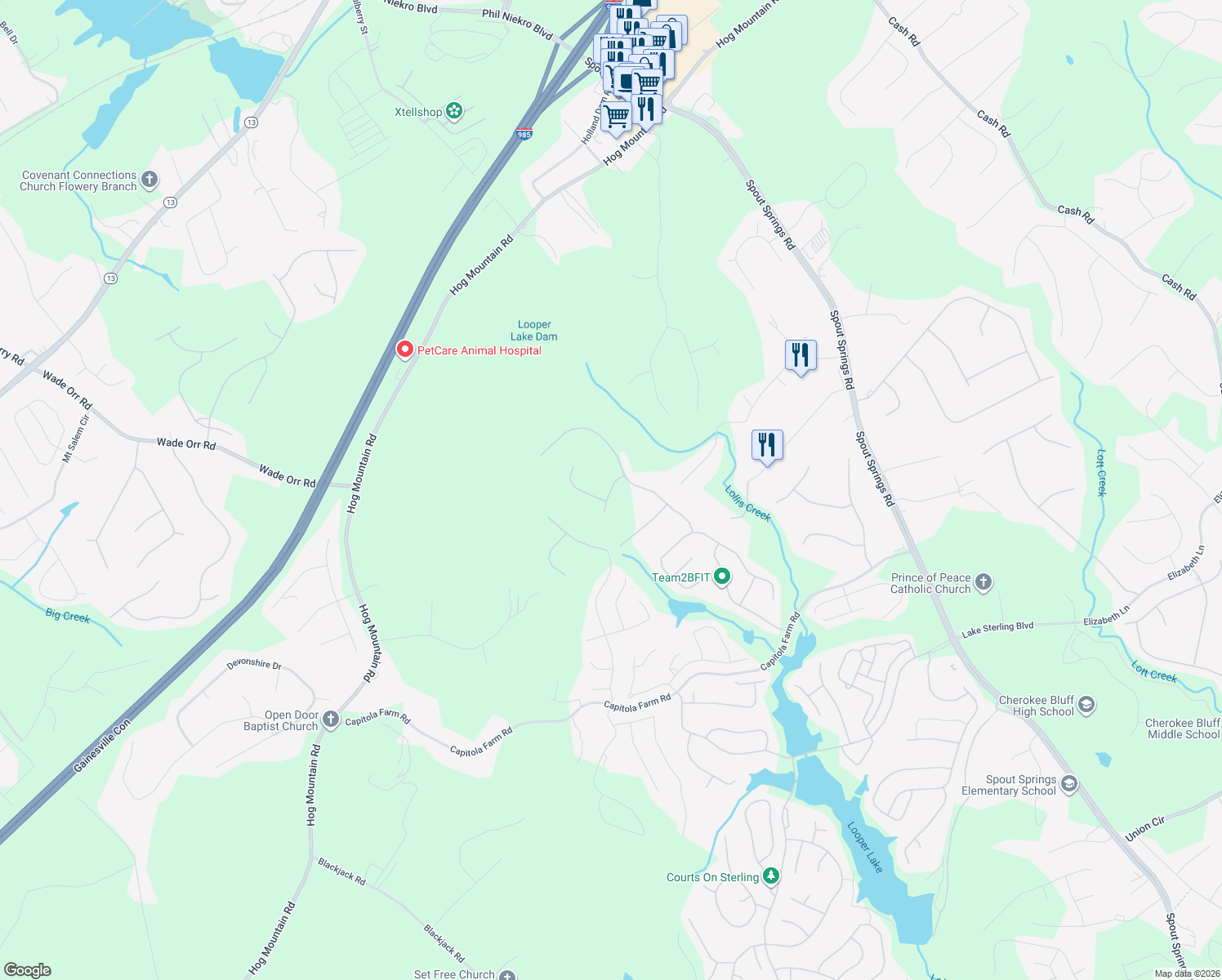 map of restaurants, bars, coffee shops, grocery stores, and more near Conifer Court in Flowery Branch