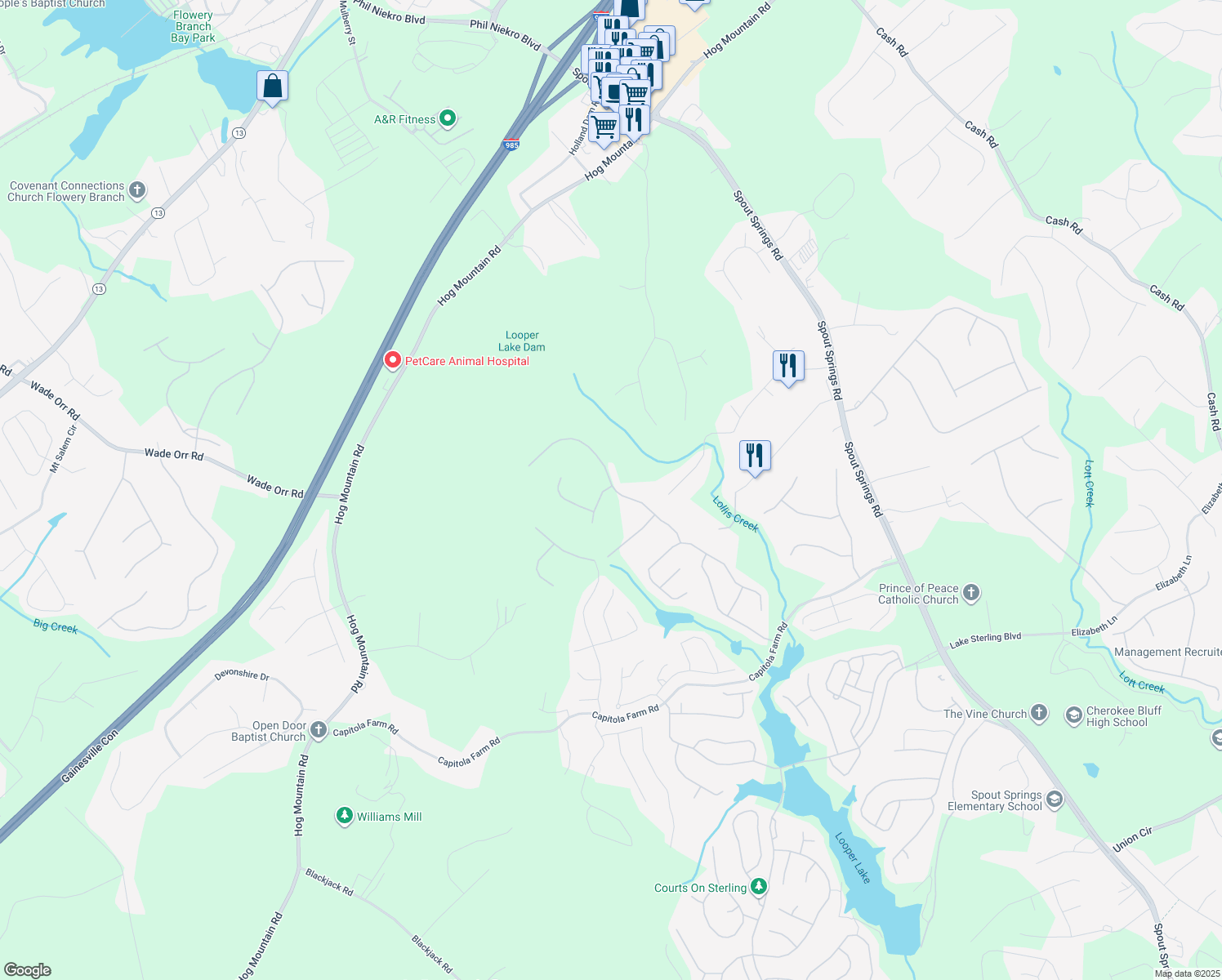 map of restaurants, bars, coffee shops, grocery stores, and more near 6740 Winding Canyon Road in Flowery Branch