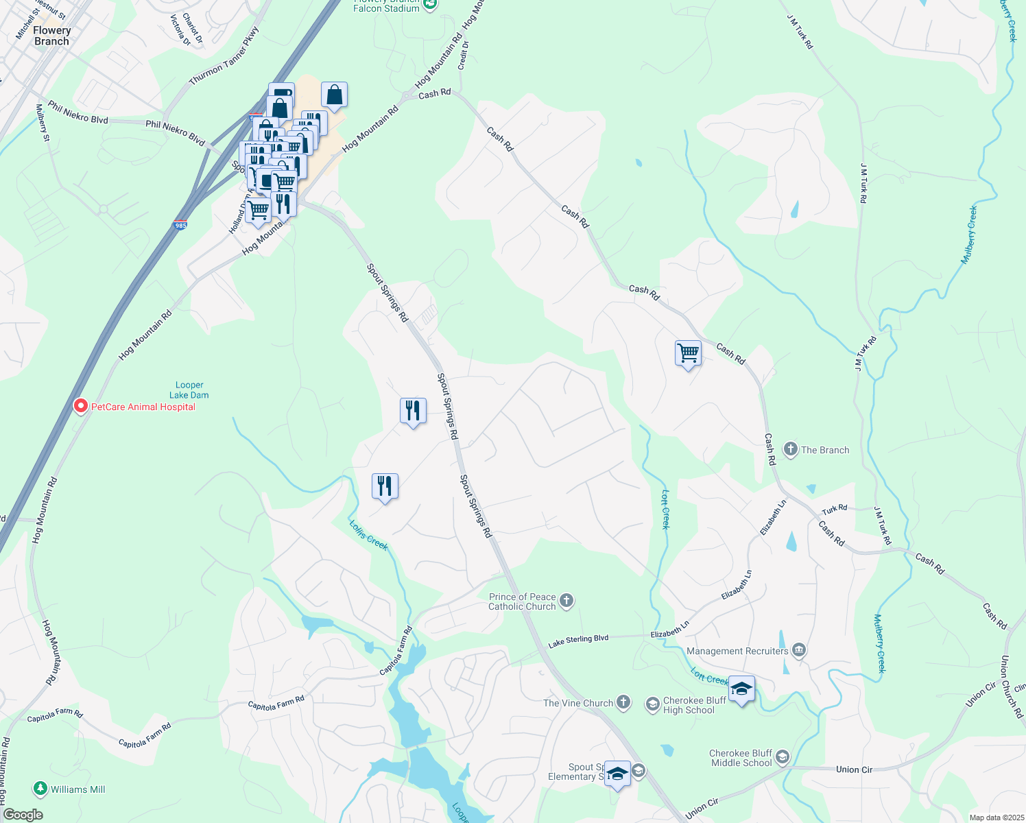 map of restaurants, bars, coffee shops, grocery stores, and more near 6307 Flat Rock Dr in Flowery Branch