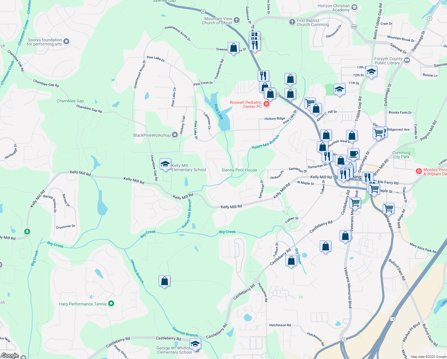 map of restaurants, bars, coffee shops, grocery stores, and more near 790 Sienna Drive in Cumming