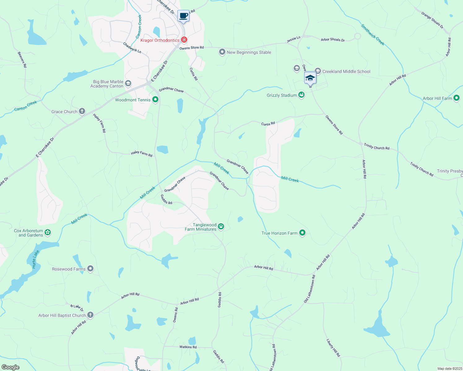 map of restaurants, bars, coffee shops, grocery stores, and more near 139 Grandmar Chase in Canton