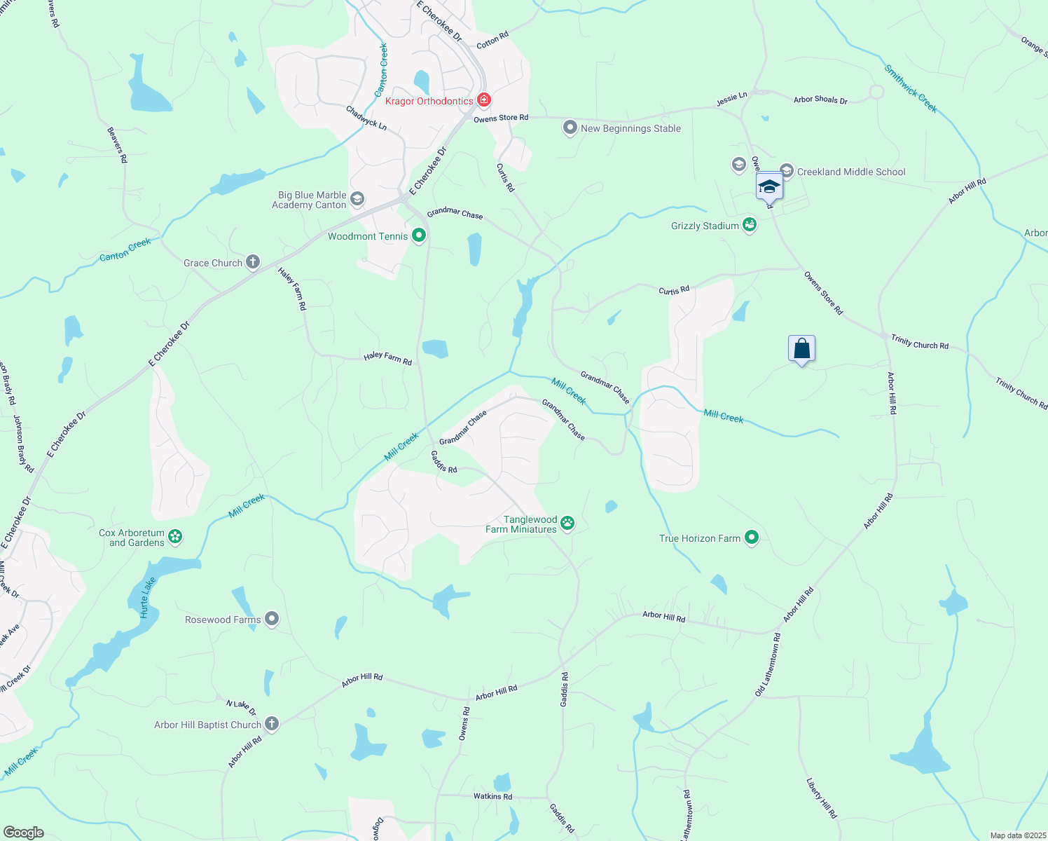 map of restaurants, bars, coffee shops, grocery stores, and more near 124 Grand Oaks Drive in Canton