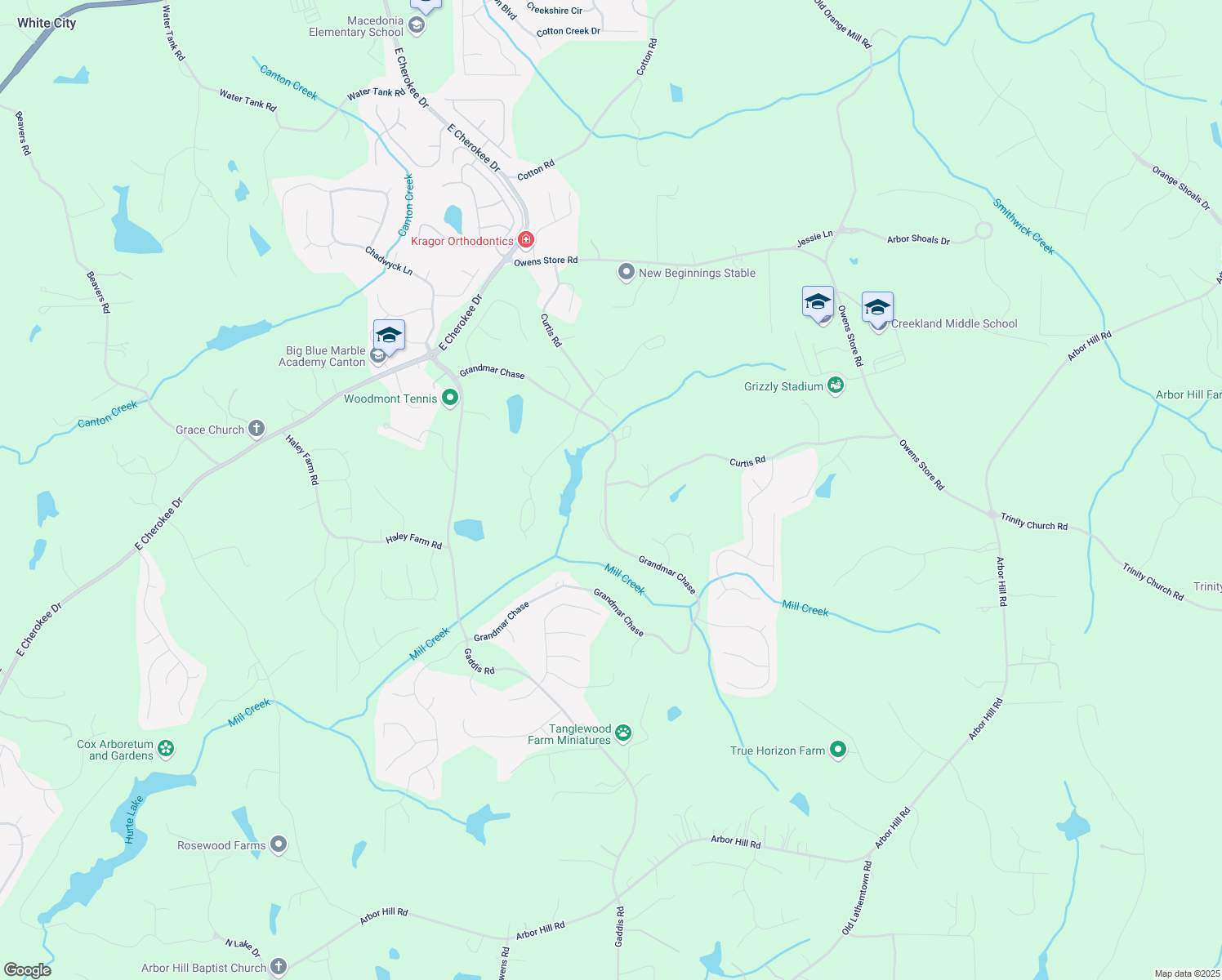 map of restaurants, bars, coffee shops, grocery stores, and more near 198 Grandmar Chase in Canton