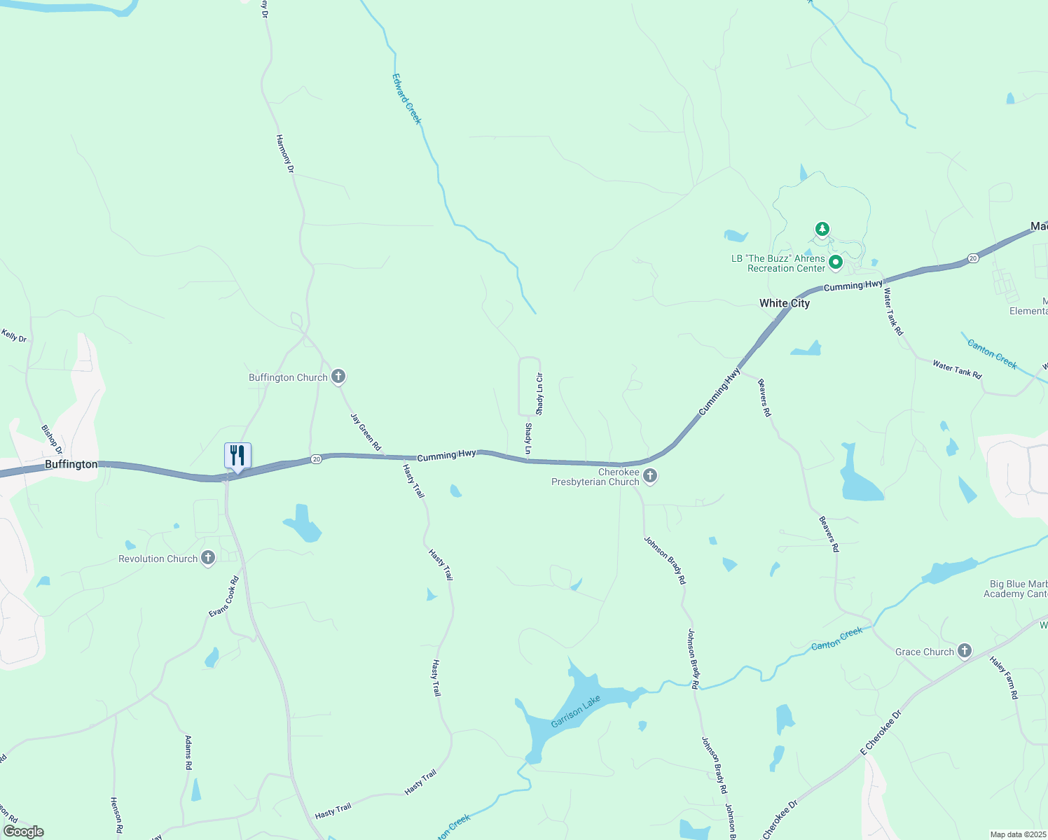 map of restaurants, bars, coffee shops, grocery stores, and more near 241 Shady Lane in Canton