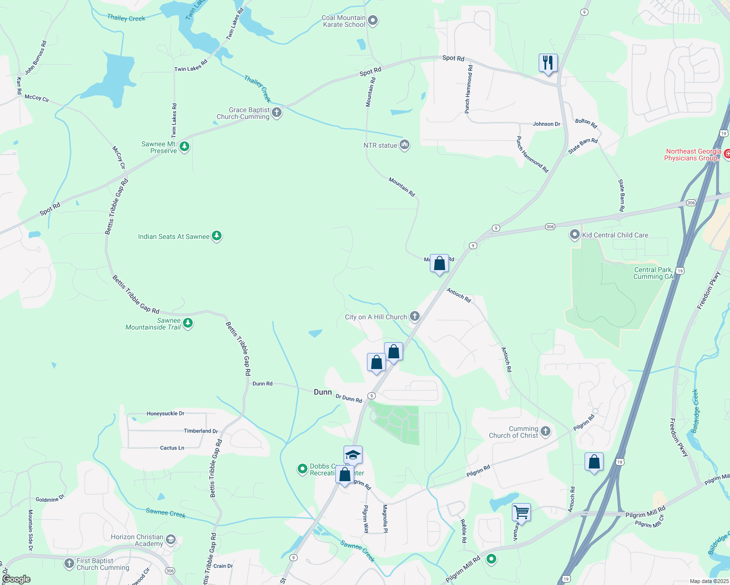 map of restaurants, bars, coffee shops, grocery stores, and more near 1630 Hughes Drive in Cumming